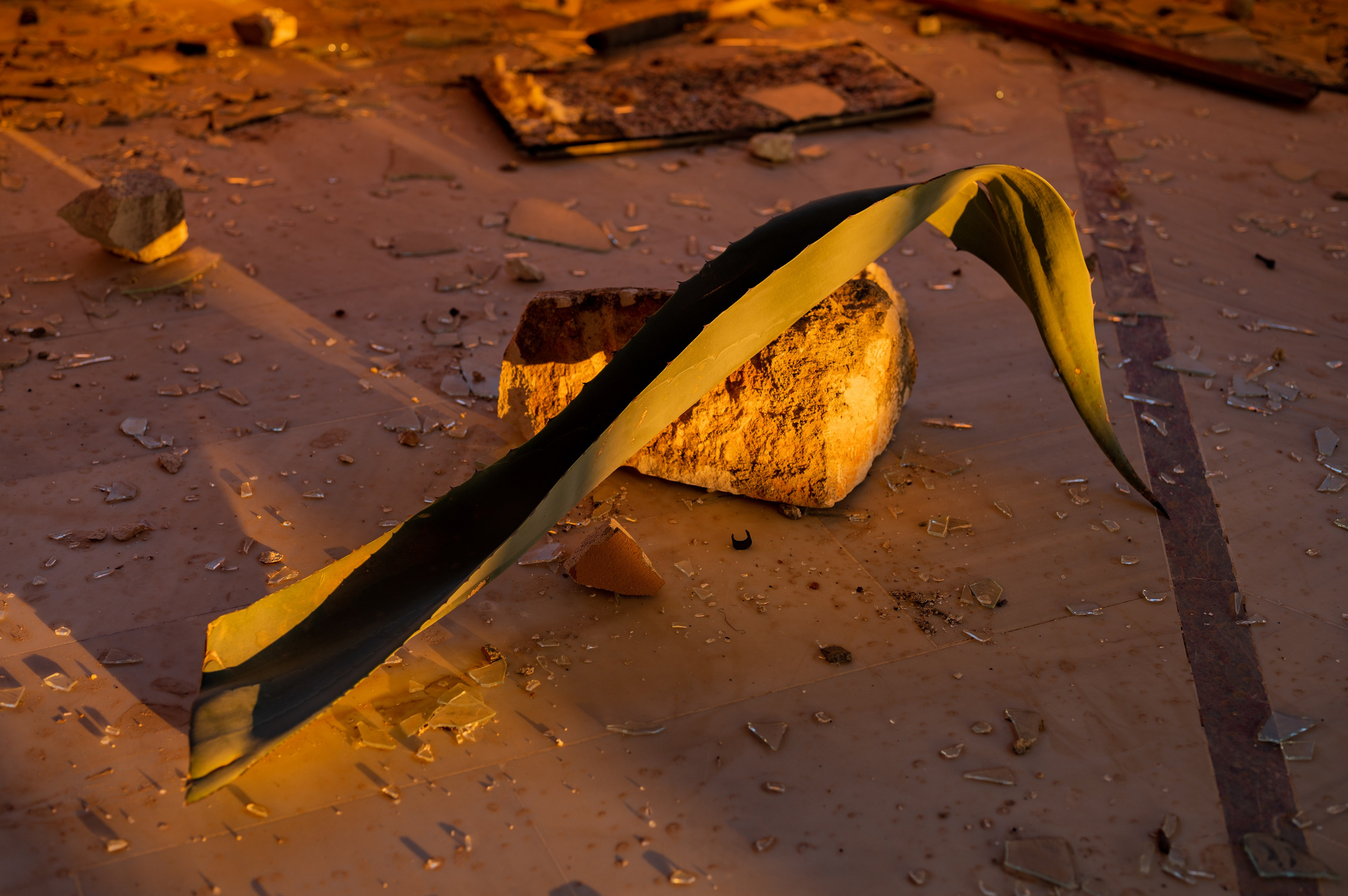 Dima — Kaş and the old water park. Photographer Yulia Lushnikova, Based in Valencia