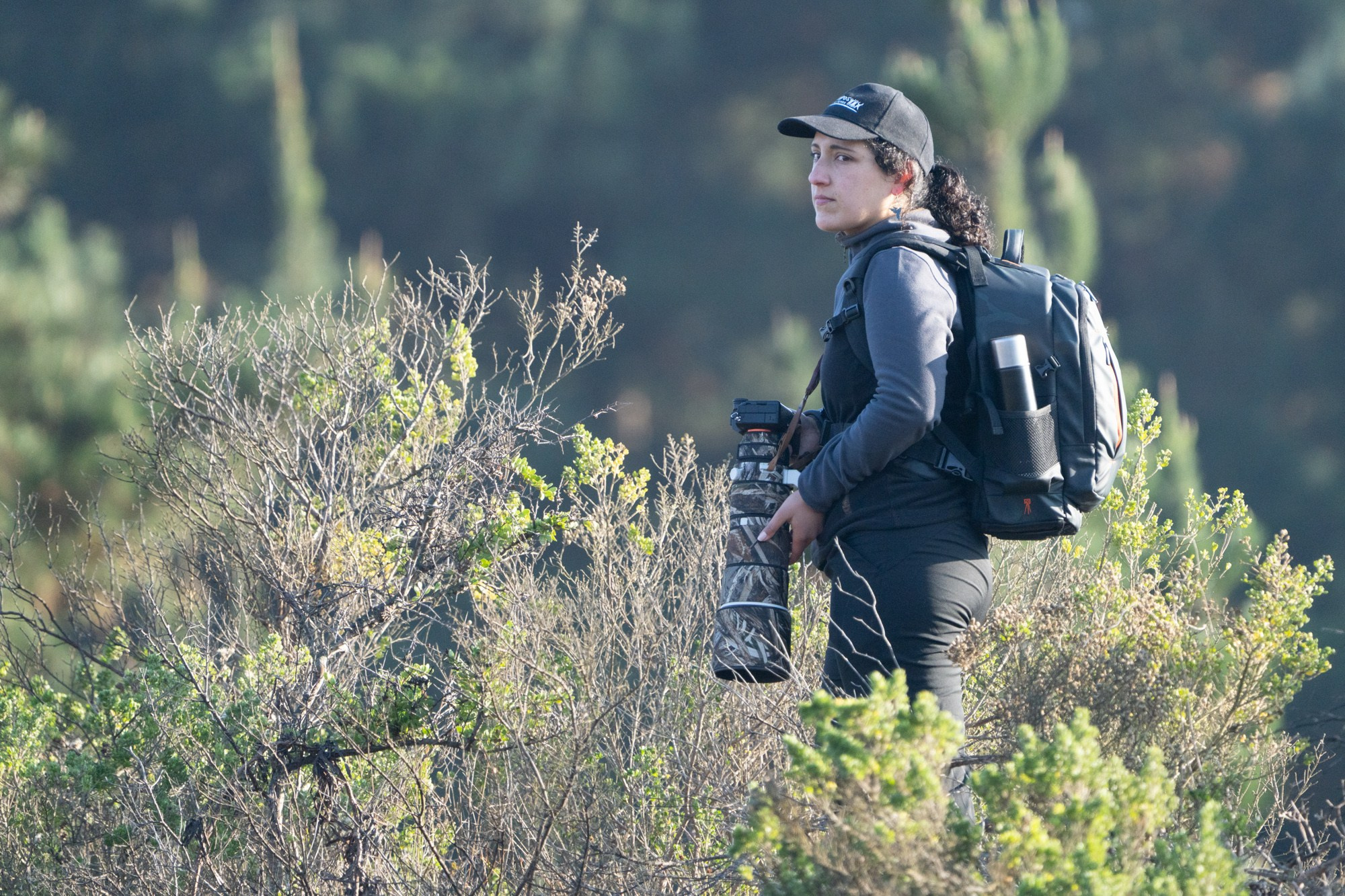 Fin de semana en zona central, de cordillera a mar. Junio 2026. Fotógrafo de naturaleza en Chile Cristian Larrere Worner