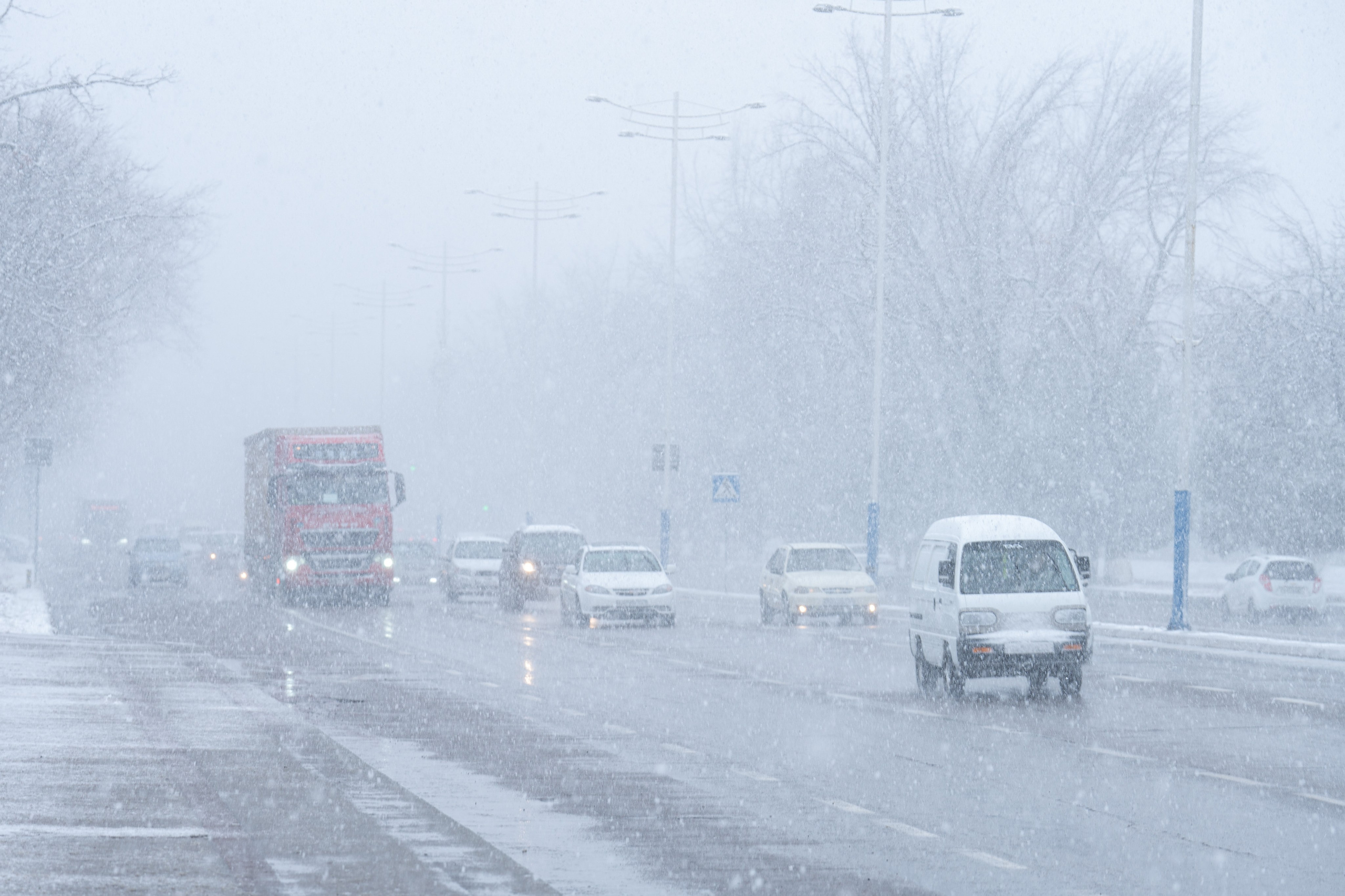 Первый снег в 2024 году. Георгий Намазов | Фотограф в Ташкенте