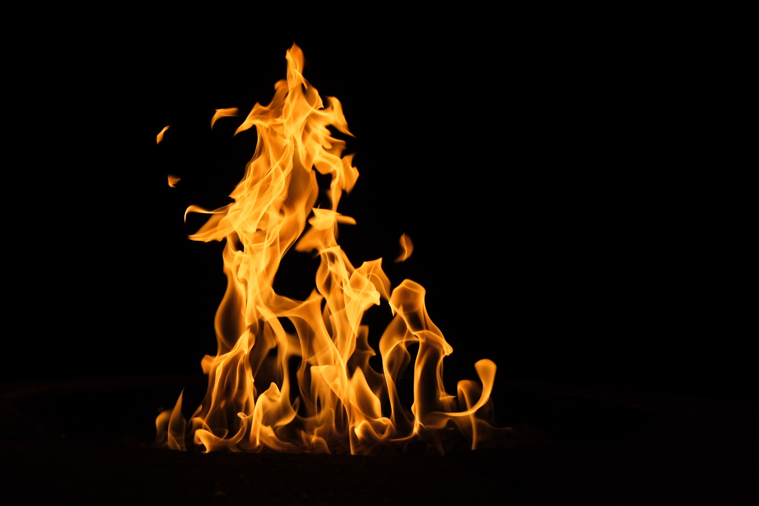 VATRA. Reportage concert portrait photography in the San Francisco Bay Area