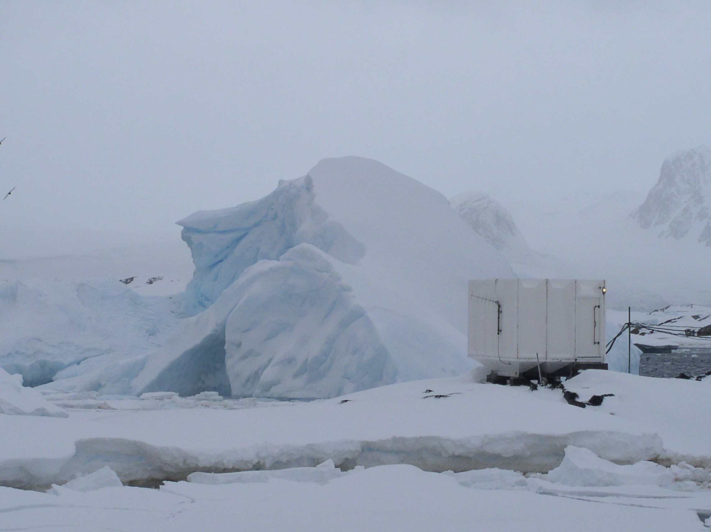 ANTARCTICA. Reportage concert portrait photography in the San Francisco Bay Area