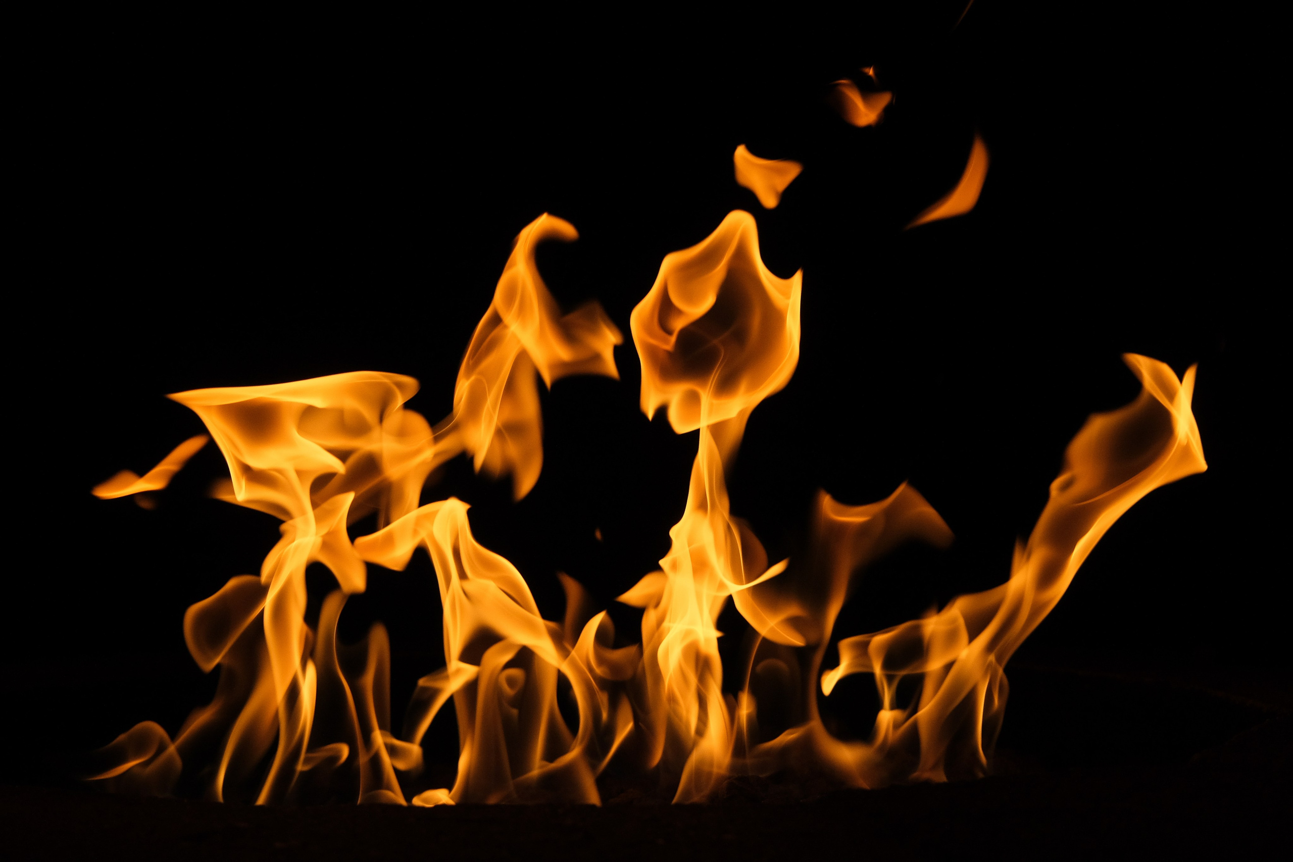 VATRA. Reportage concert portrait photography in the San Francisco Bay Area