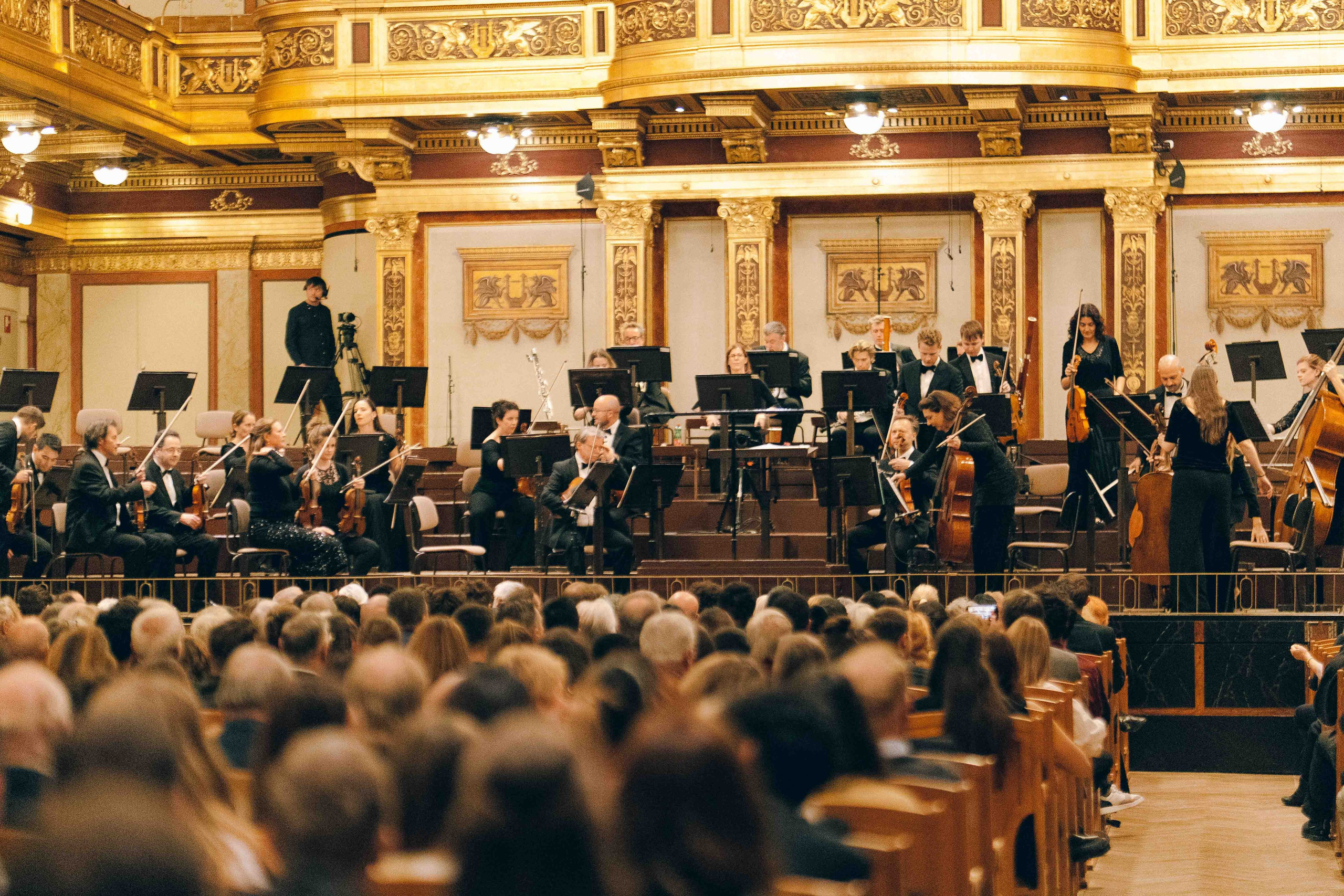 MUSIKVEREIN (VIENNA). Wedding&Event photographer Ismail Rzayev in Baku