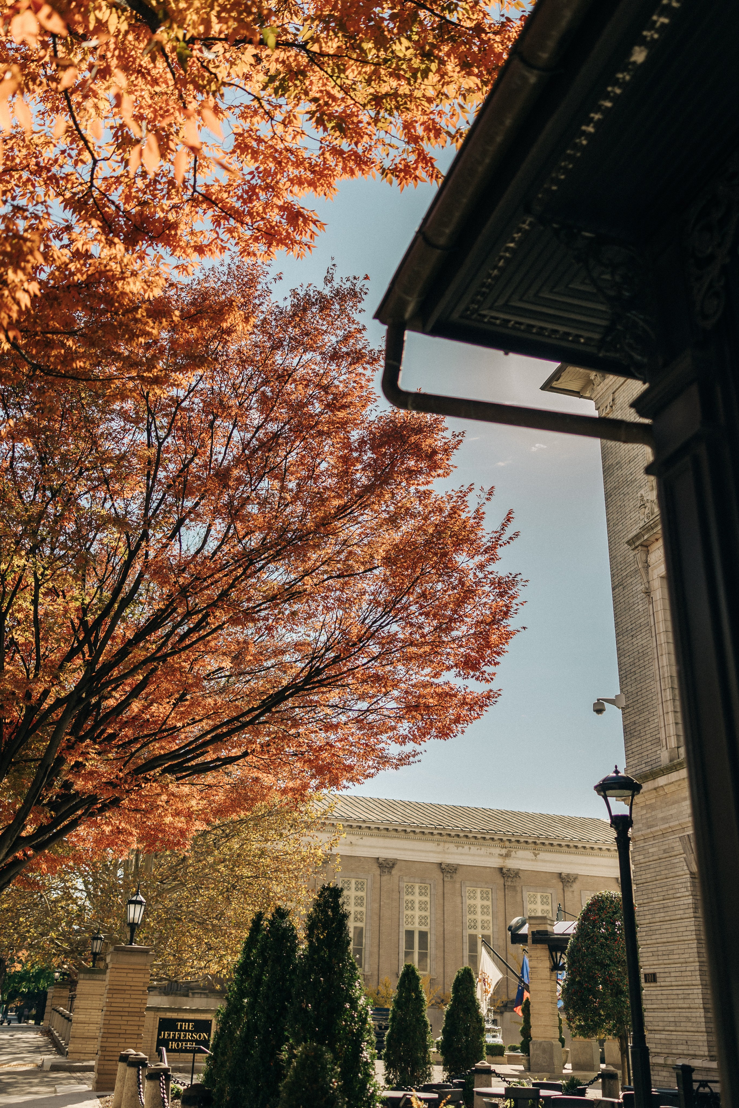 Corinne&Trey. Sara Eulalia | Virginia Photographer