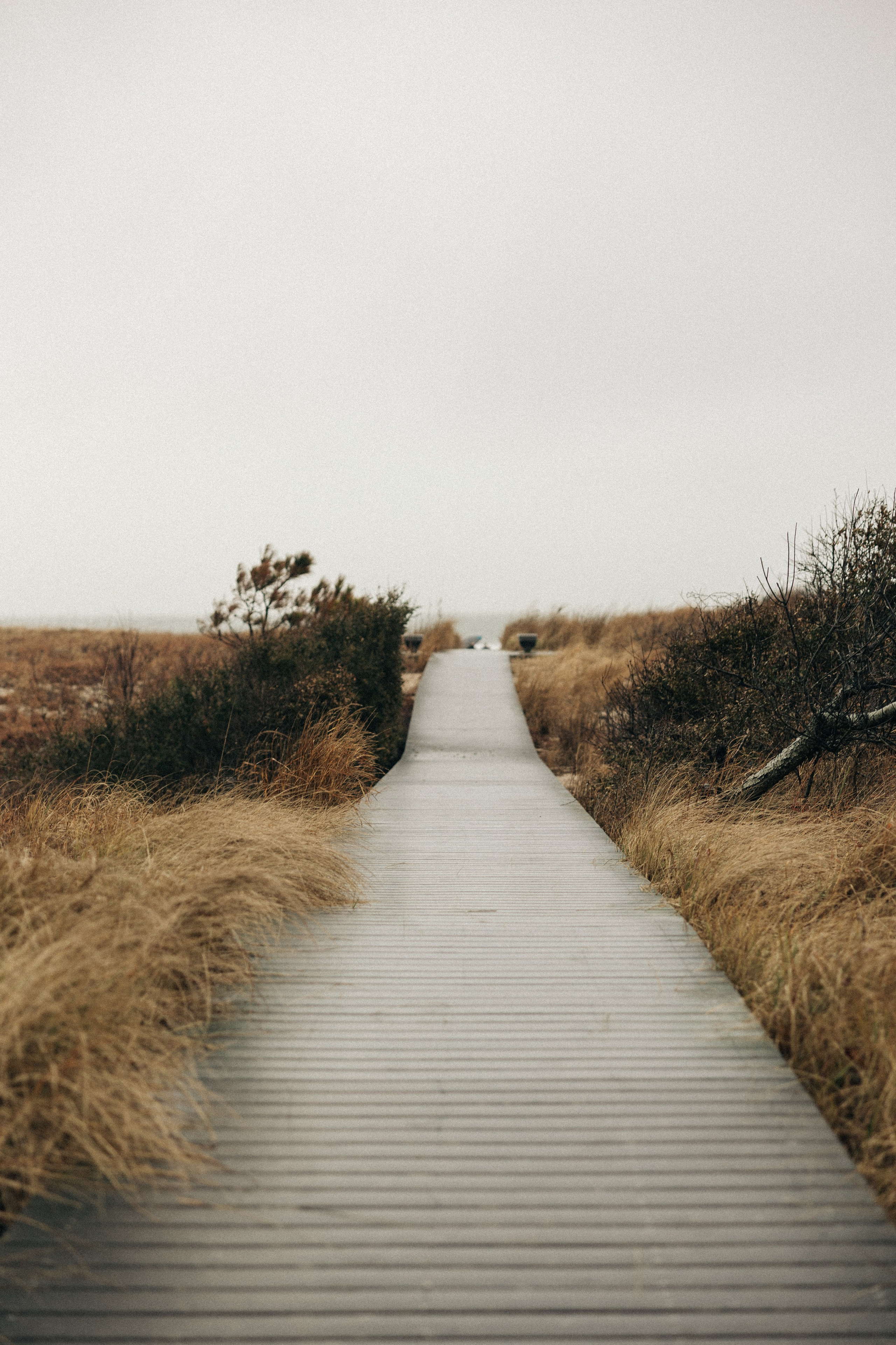 Bruna&Chris Elopement. Sara Eulalia | Virginia Photographer