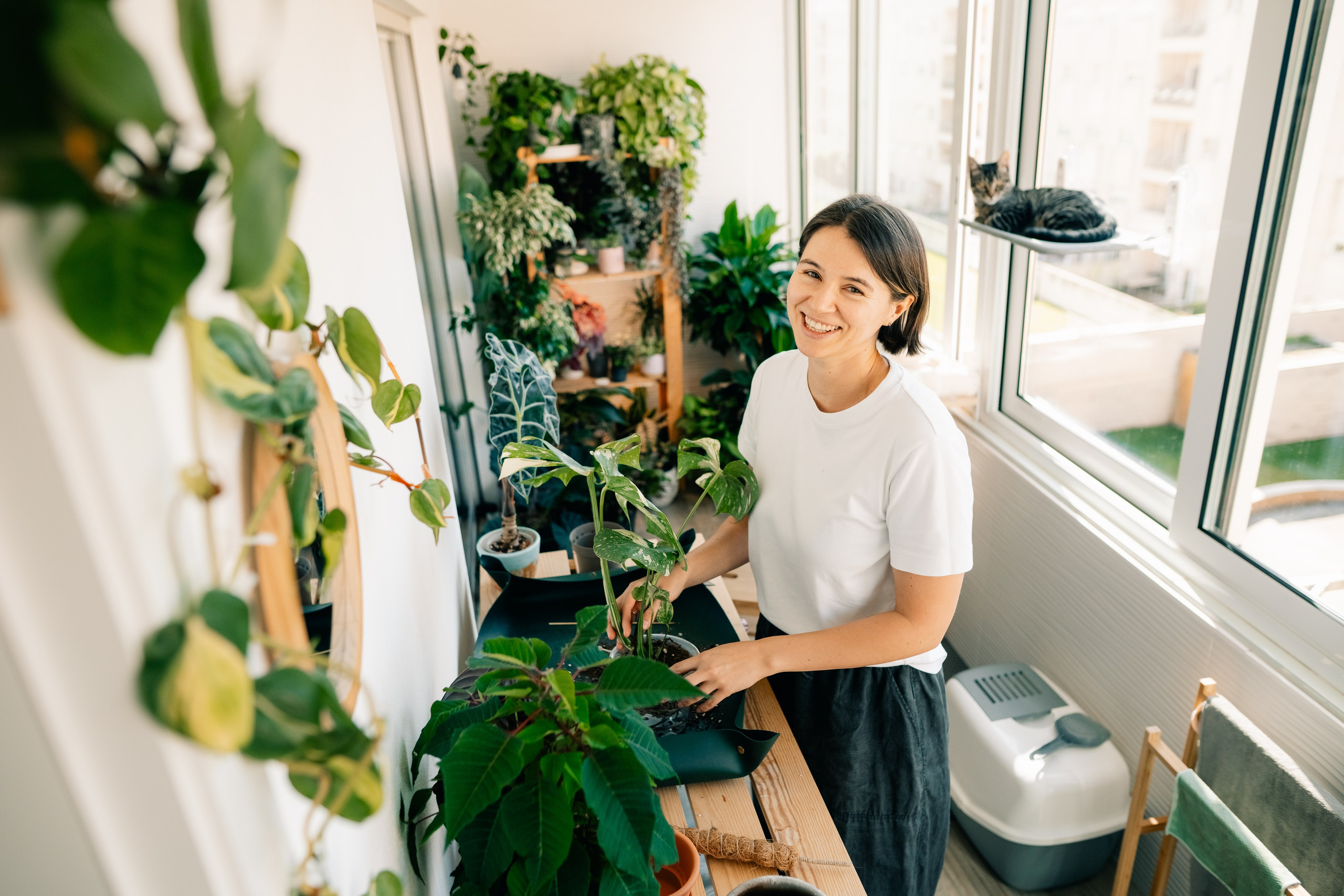 No Drama Plants. Maria Sher. Fotógrafa profissional do Porto, Portugal