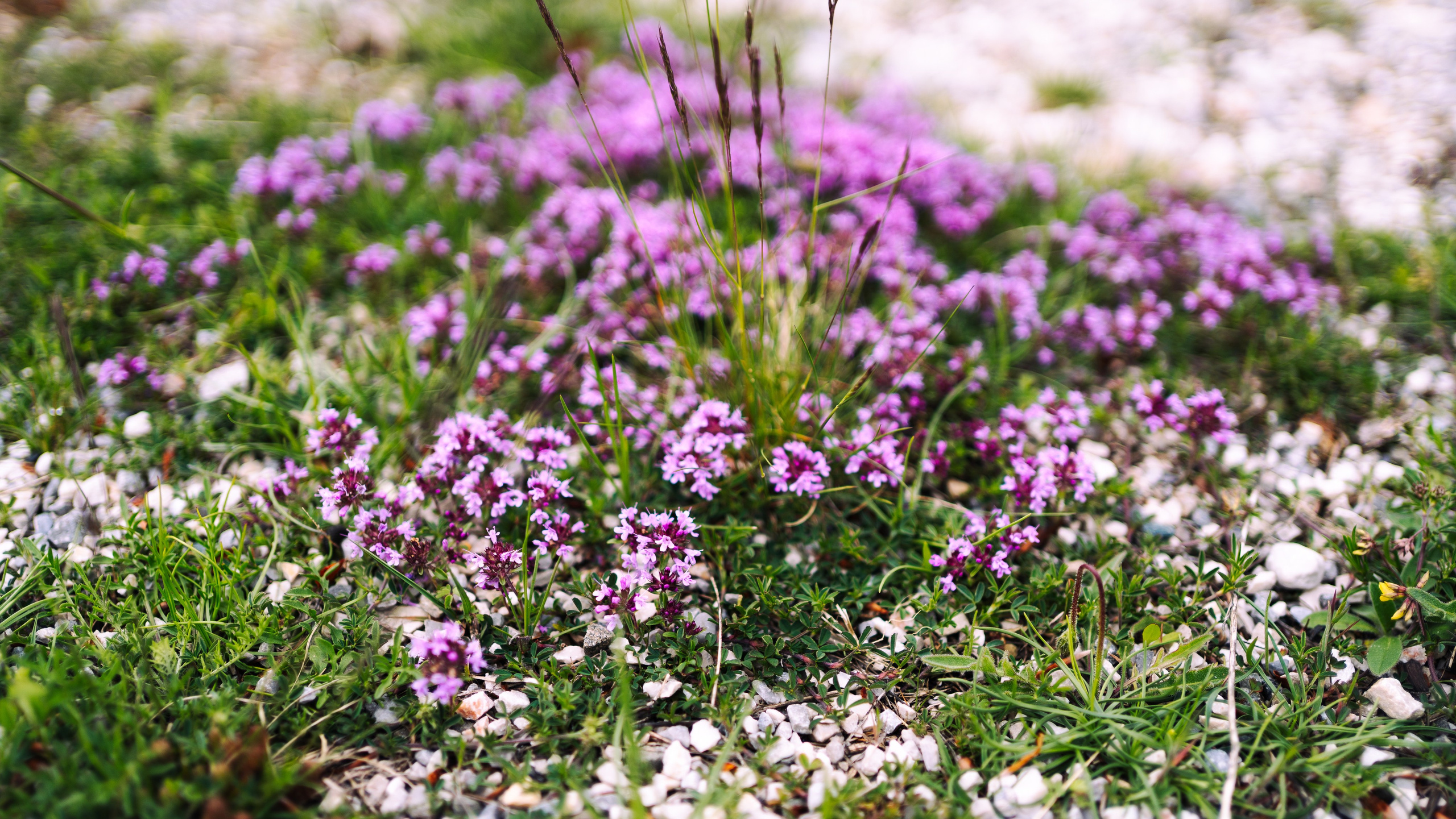 LANDSCAPE. PHOTOGRAPHER|VIDEOGRAPHER MONTENEGRO