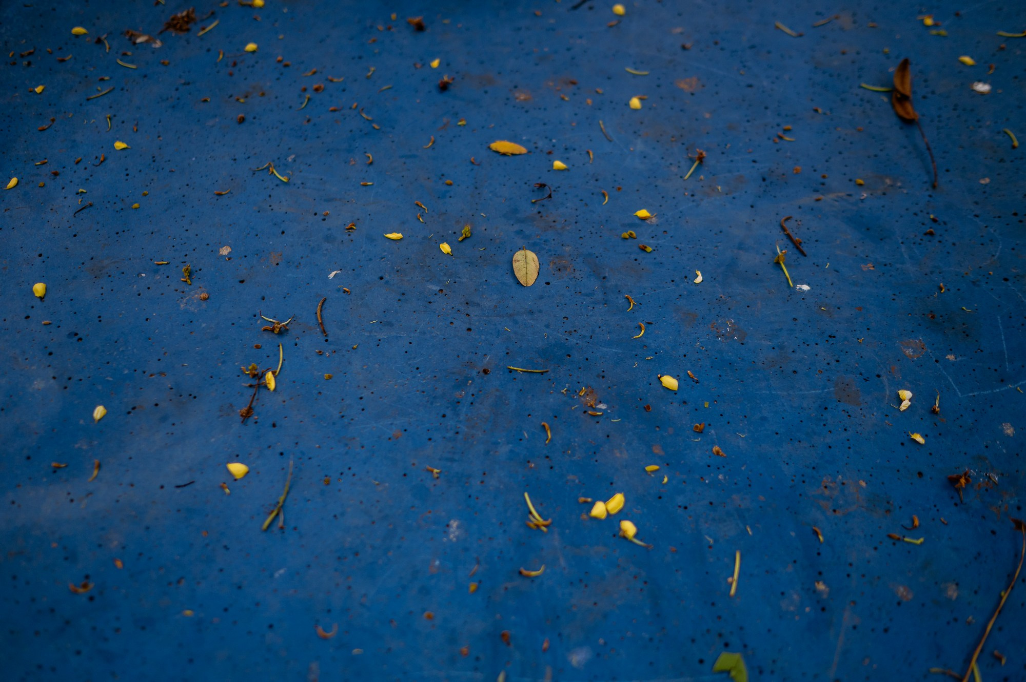 Luna 2 Anos. Água Carmim Fotografia