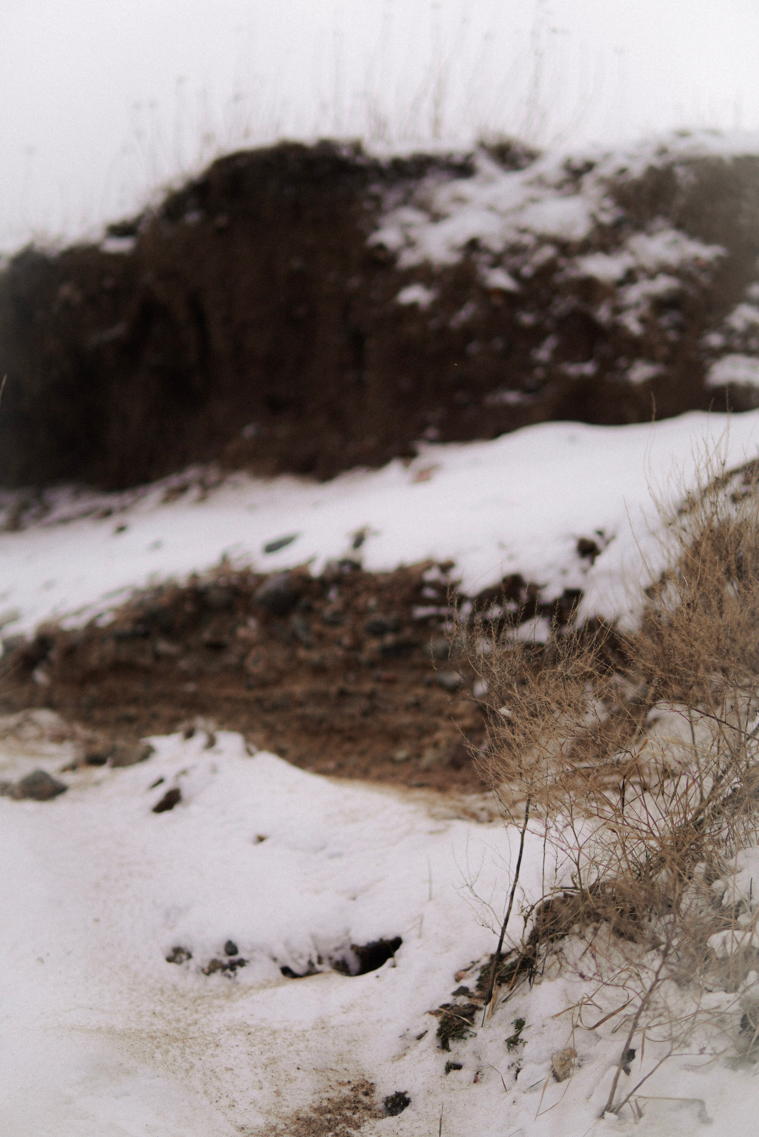 Loodus, meri, tunned. Meeste ja naiste fotograaf Tallinnas Anna Sipari