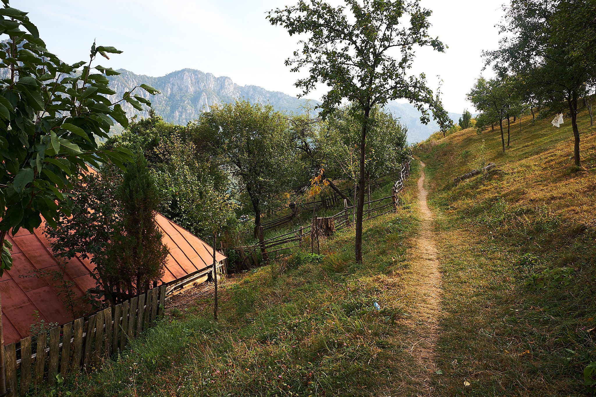 Ineleț, jud. Caraș-Severin. Pagina principală