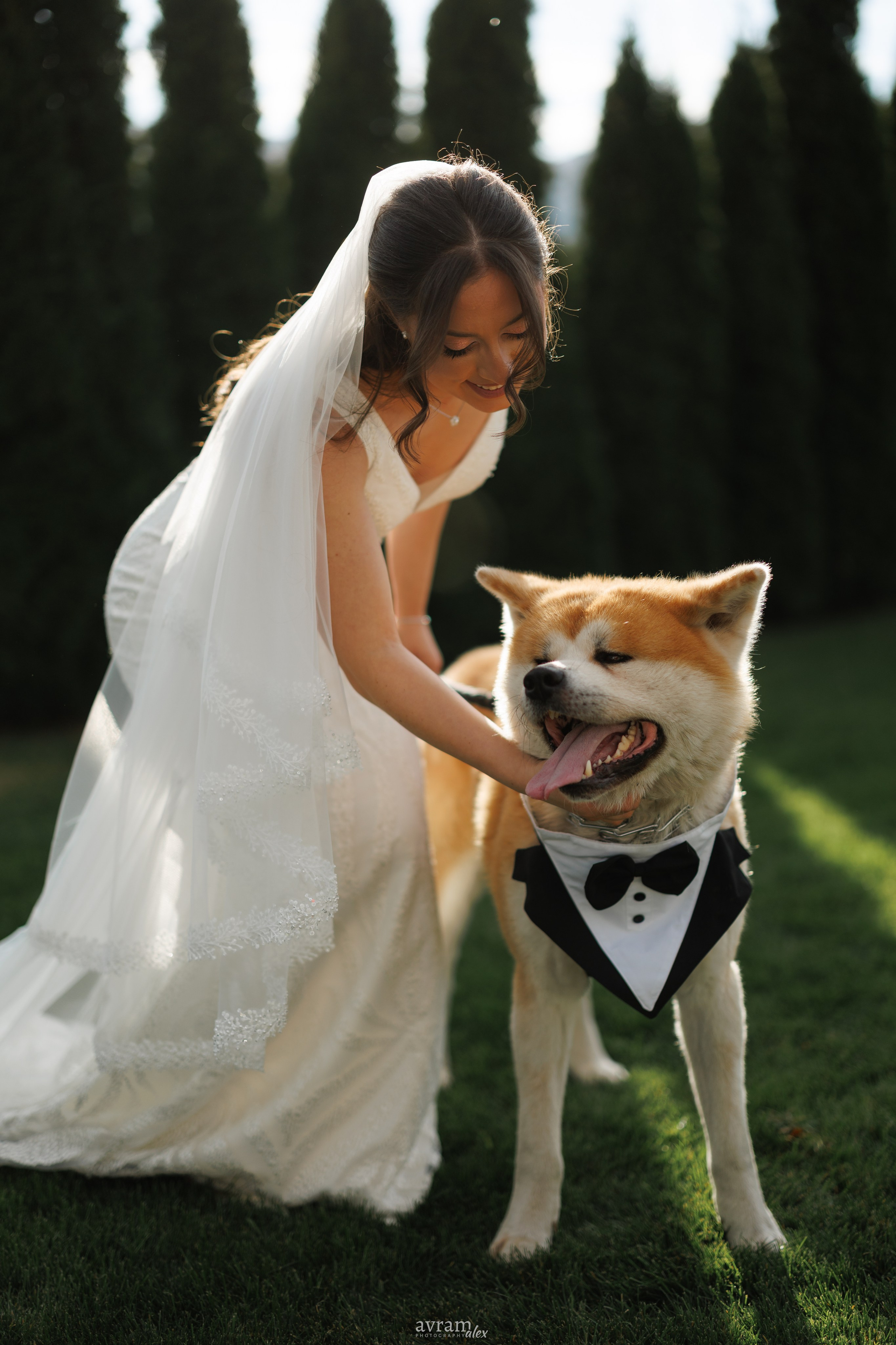 Amalia + Tavi | Wedding. Alexandru Avram | Photographer