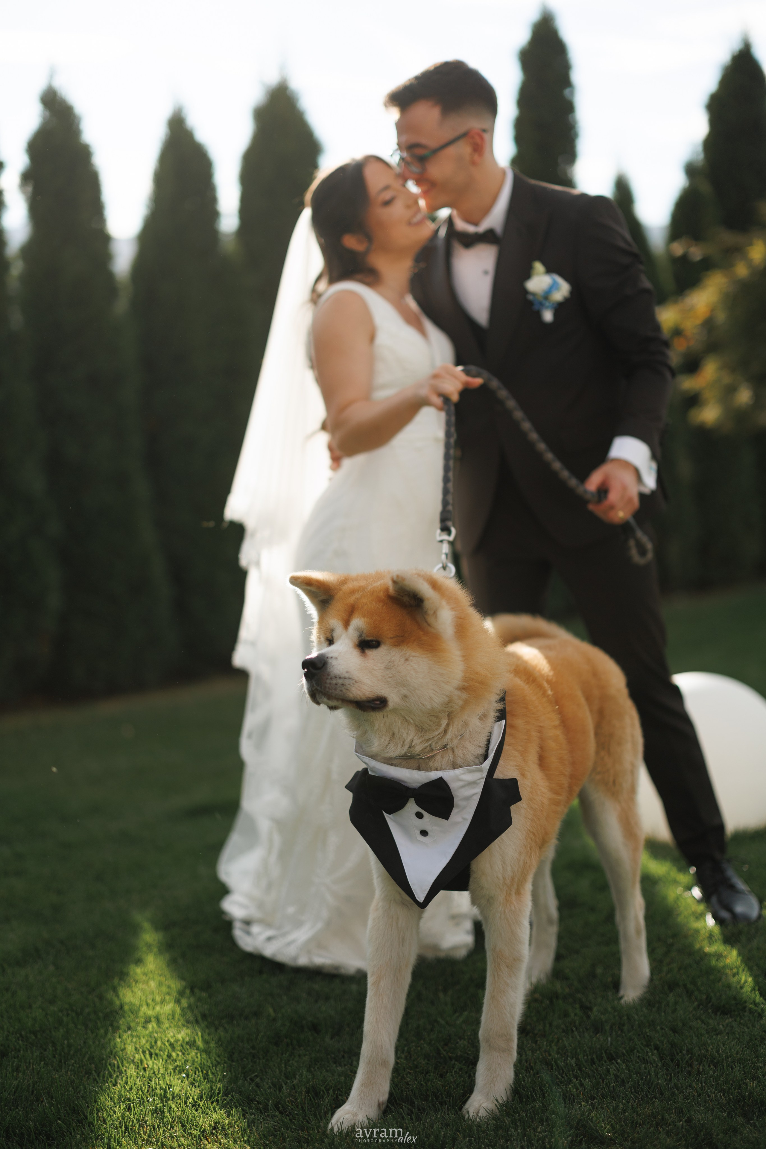 Amalia + Tavi | Wedding. Alexandru Avram | Photographer