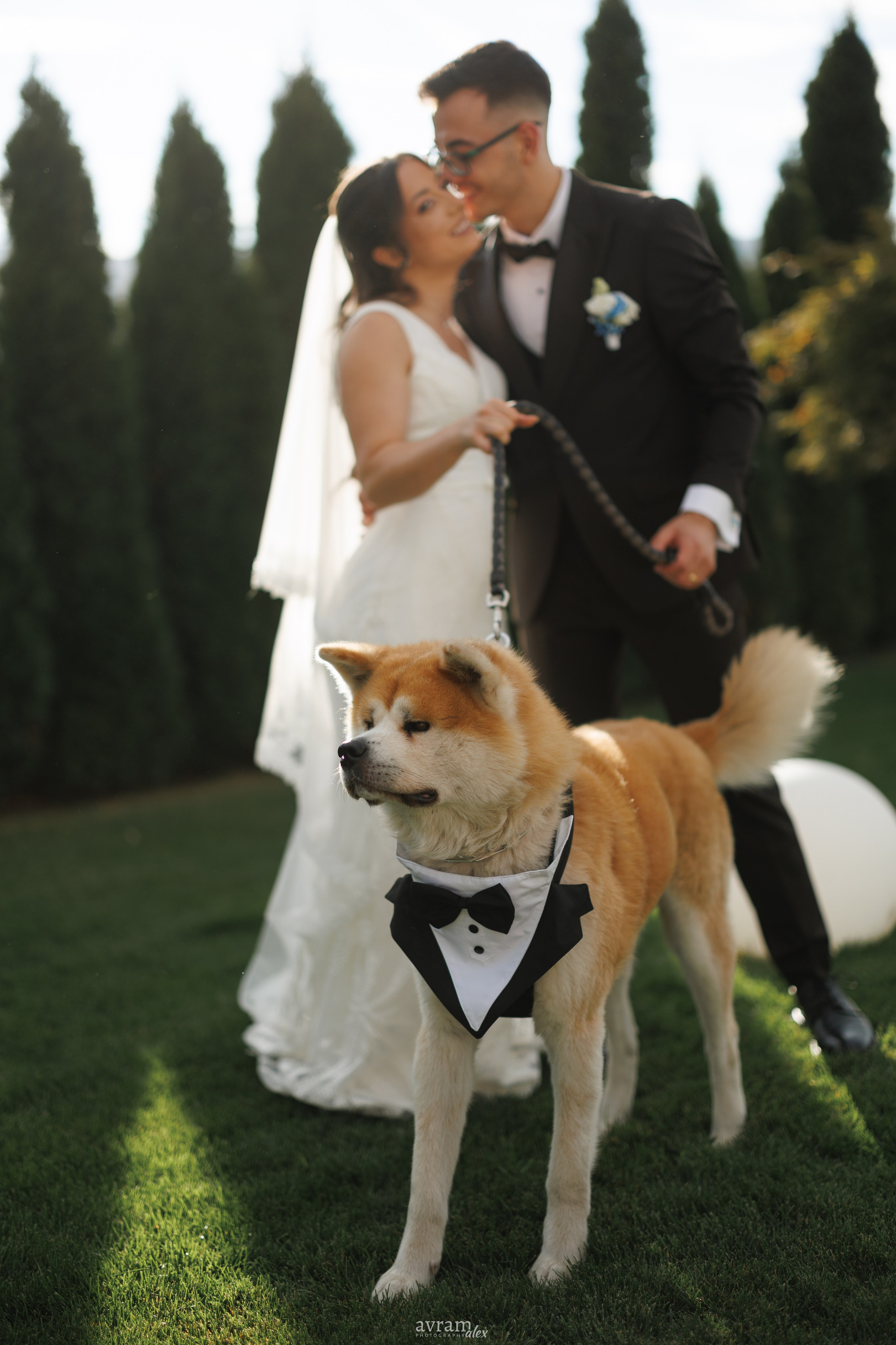 Amalia + Tavi | Wedding. Alexandru Avram | Photographer
