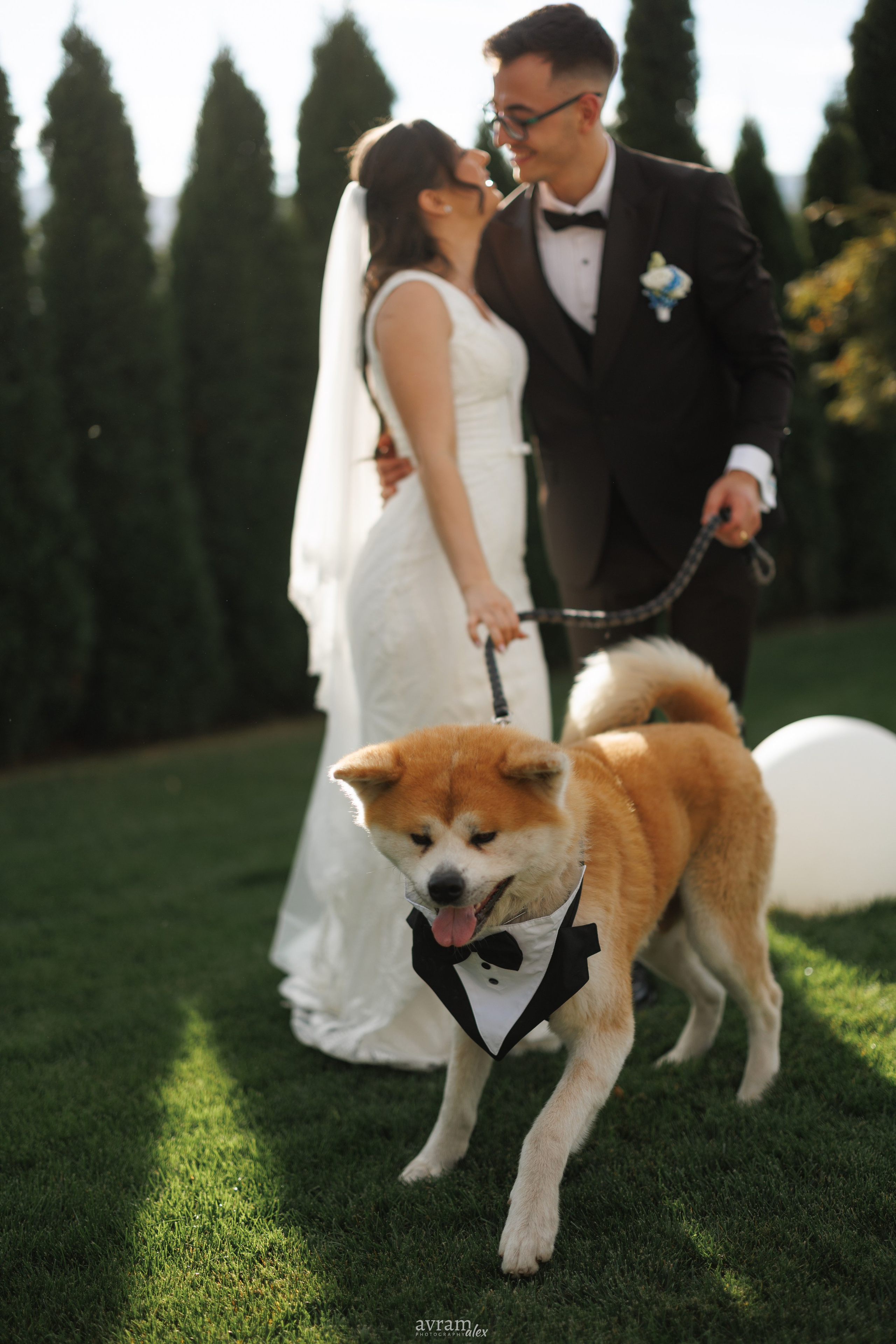 Amalia + Tavi | Wedding. Alexandru Avram | Photographer