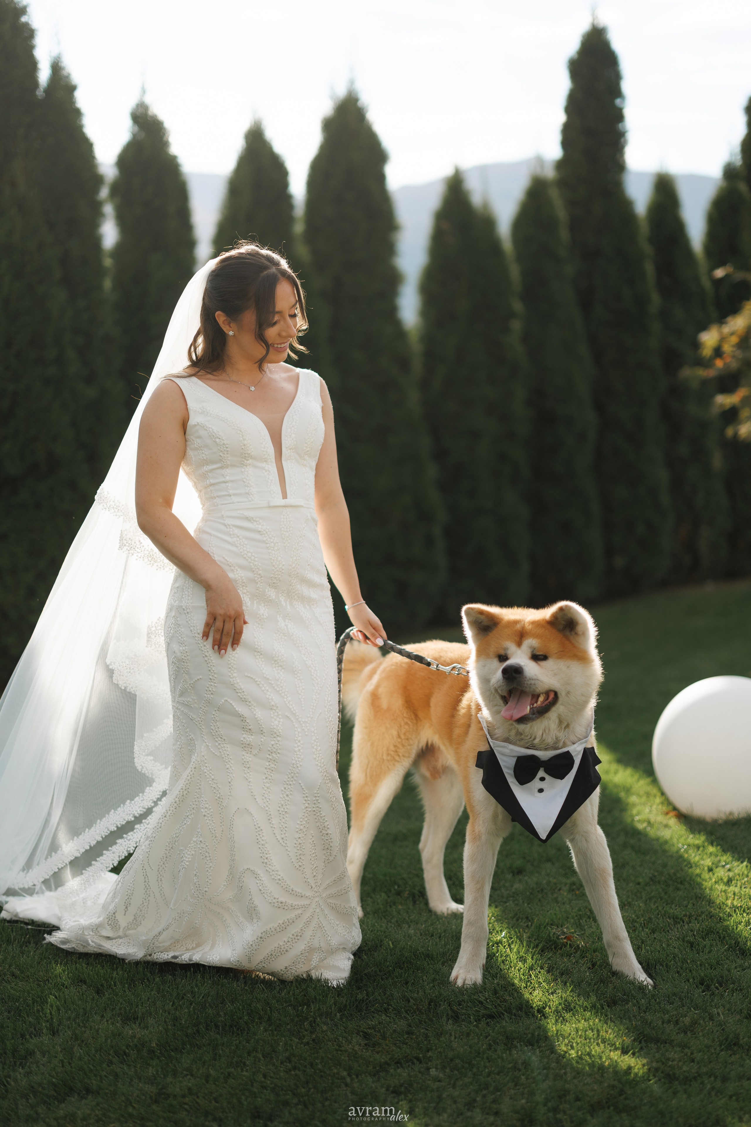 Amalia + Tavi | Wedding. Alexandru Avram | Photographer
