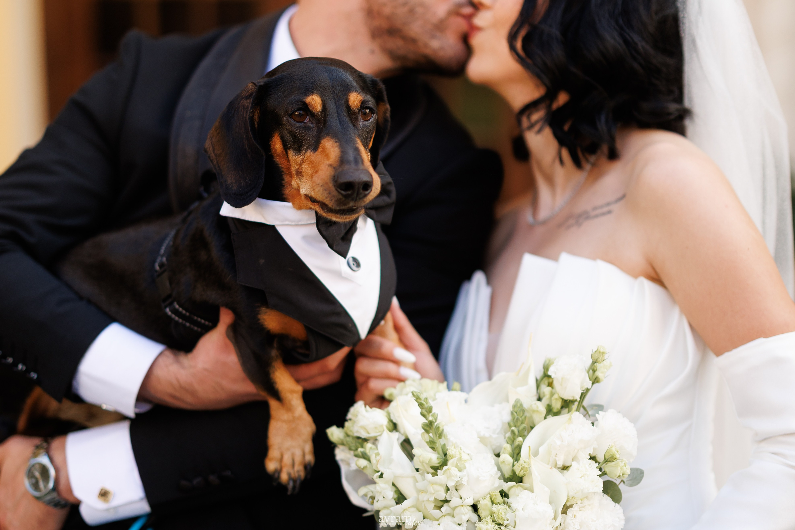 Andreea + Eduard | Wedding. Alexandru Avram | Photographer