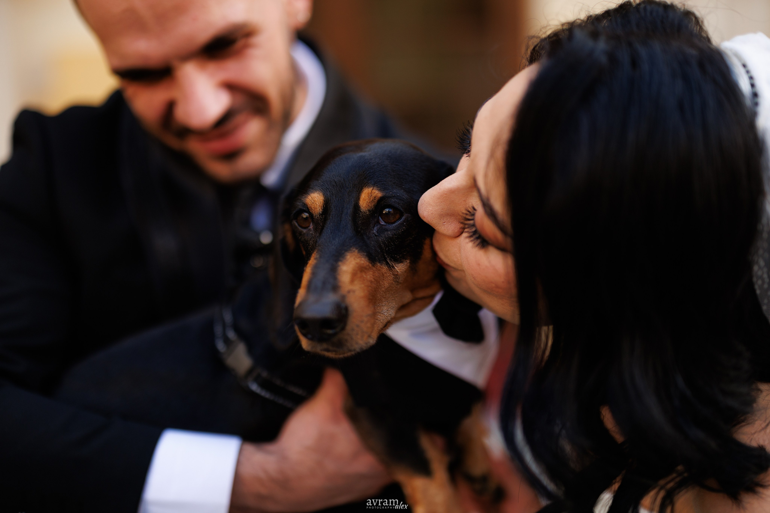 Andreea + Eduard | Wedding. Alexandru Avram | Photographer
