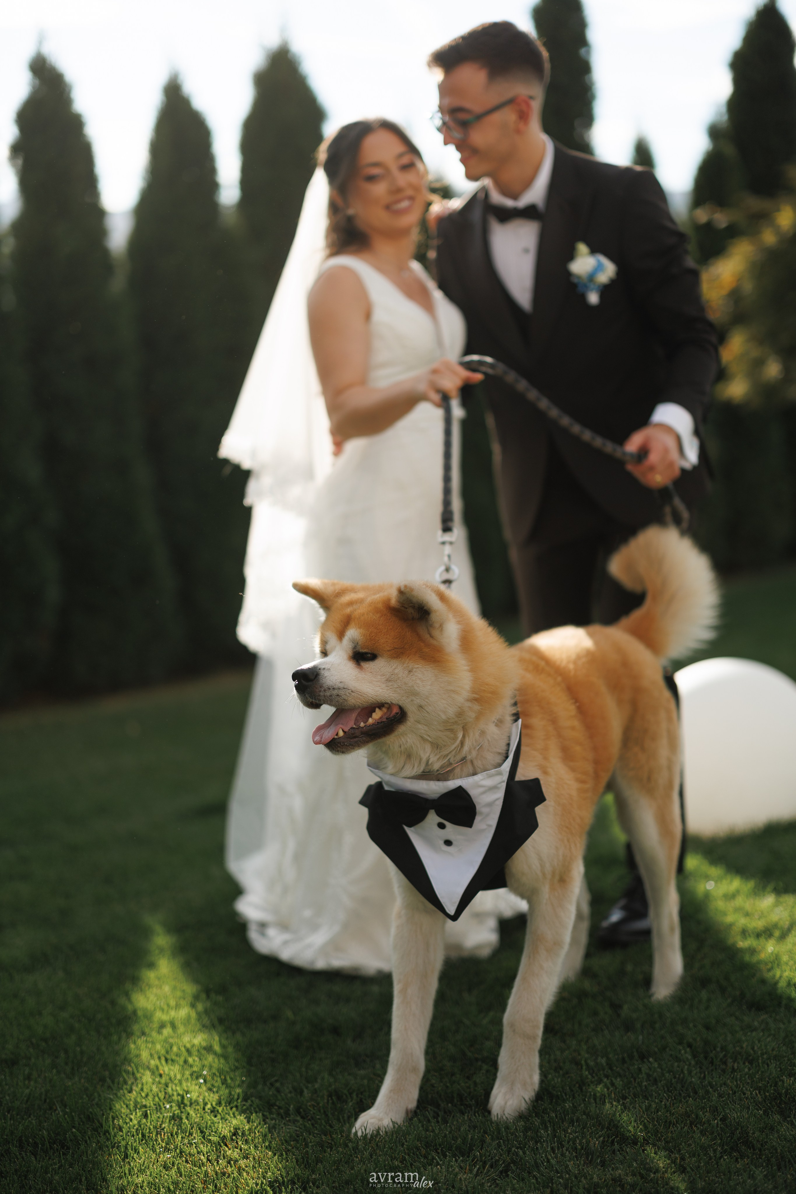 Amalia + Tavi | Wedding. Alexandru Avram | Photographer