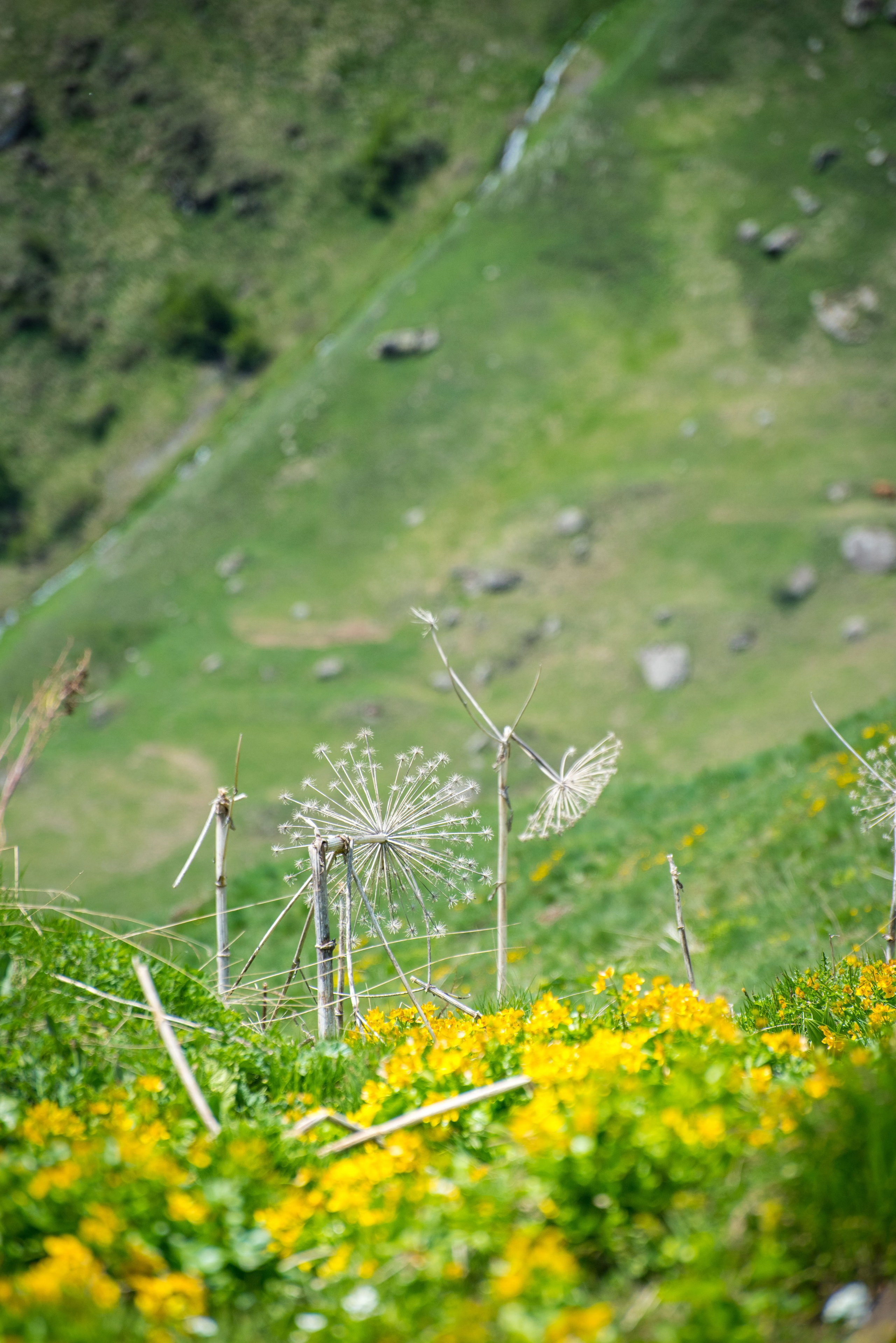 Juta. Photographer in Tbilisi