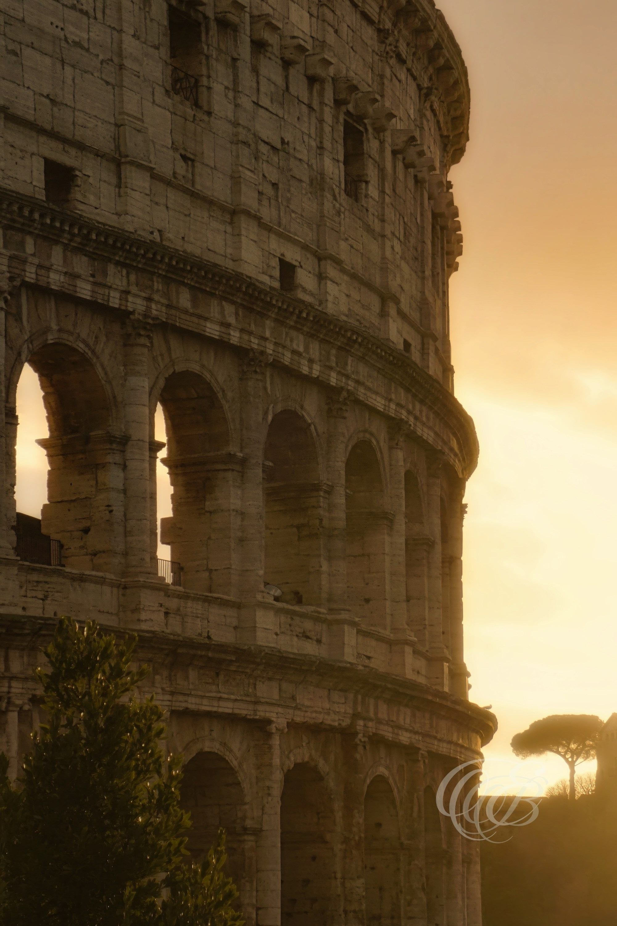 Photography of Italy — Colosseum at Warm Sunset in Rome — Eduardo Bartoli Fine Art & Travel Photography