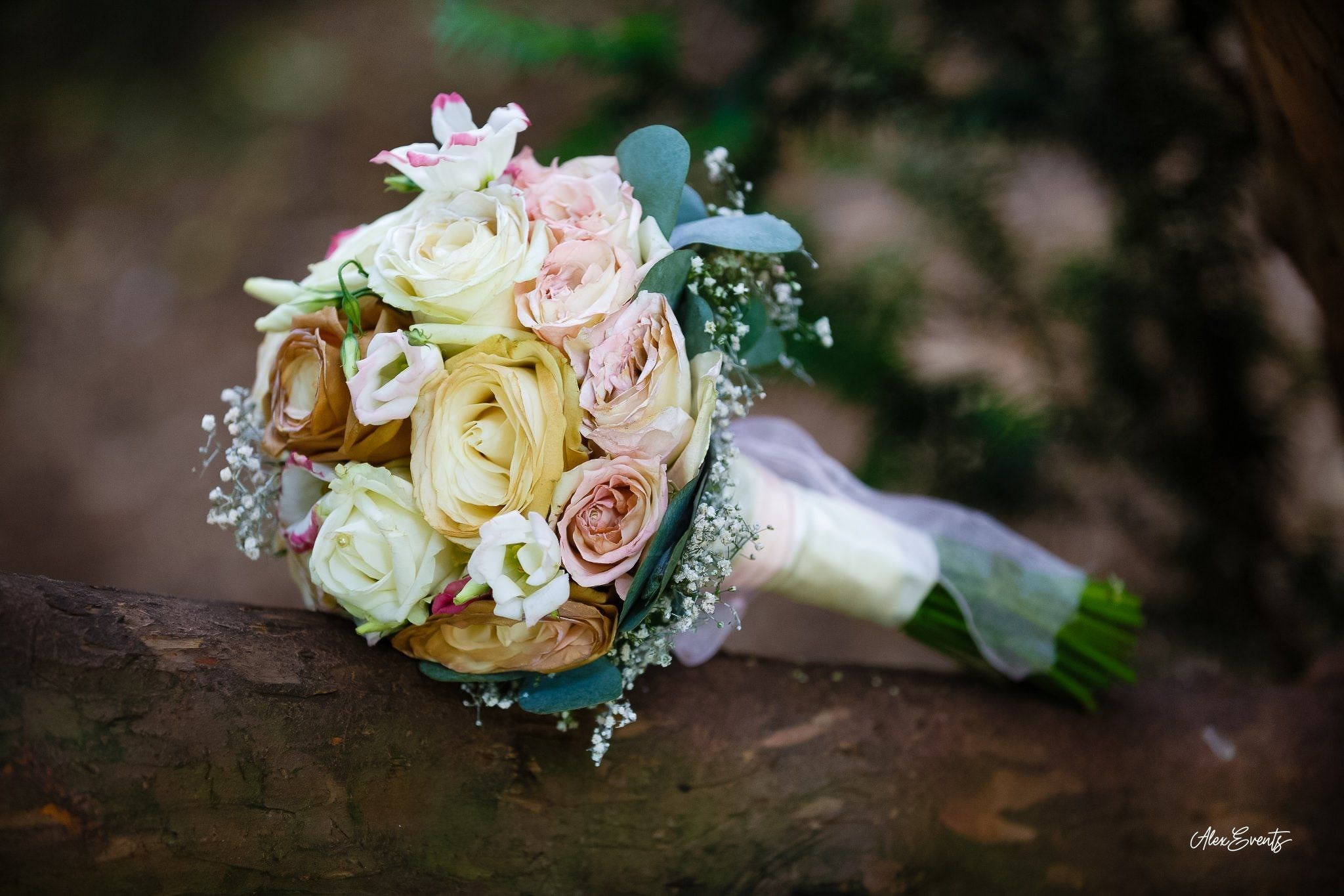 Vlad si Andreea. AlexEvents Fotograf / Videograf in Danemarca Horsens, Vejle, Odense, Arhus.Nunta, Botez, Foto-Studio