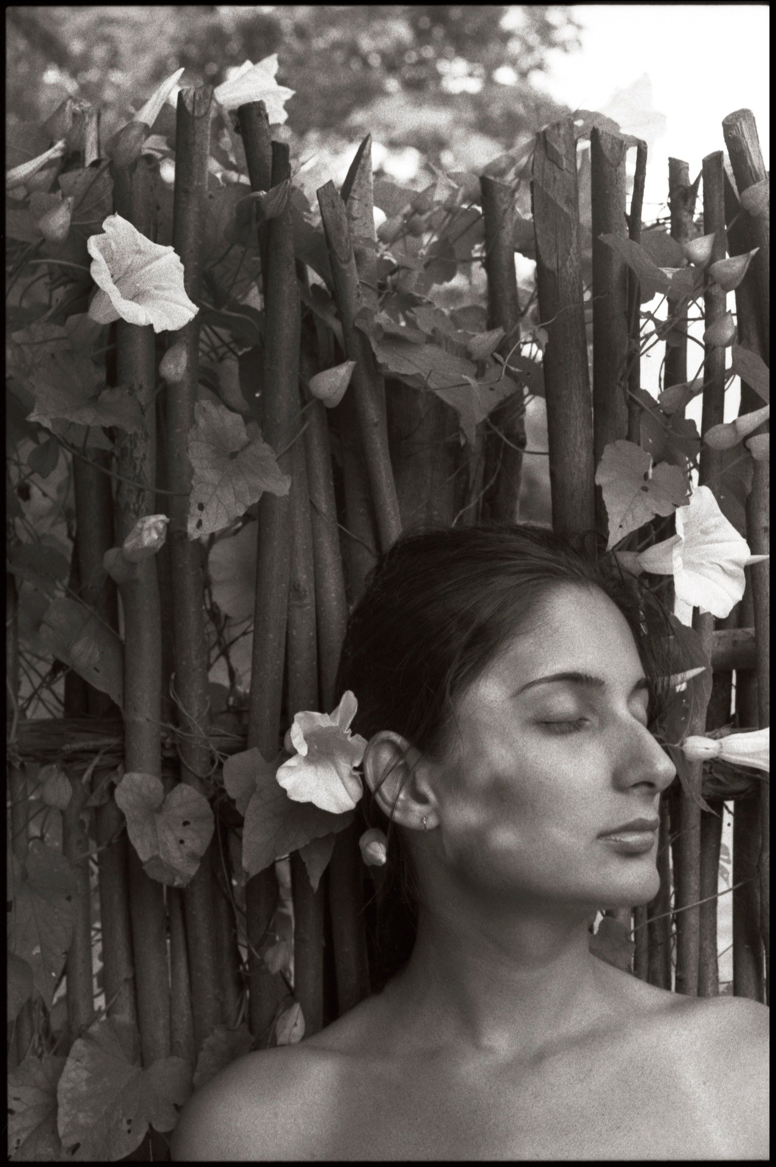 Fakhriya Mammadova, artist. Gebele. 2003