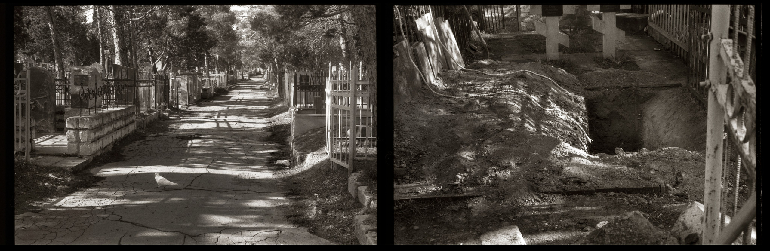 Farewell to a friend.  Baku, 2019