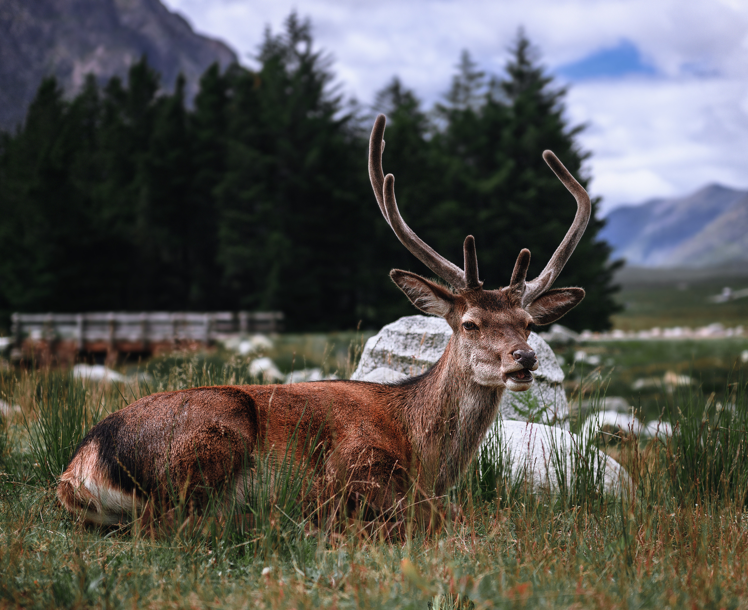 Landscape. Portrait and Family photographer based in Larkhall Scotland