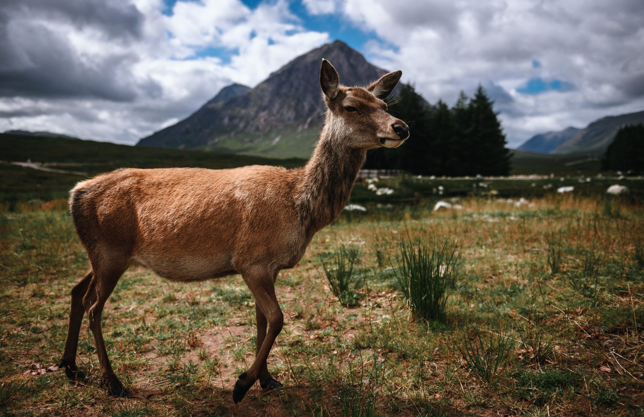 Landscape. Portrait and Family photographer based in Larkhall Scotland