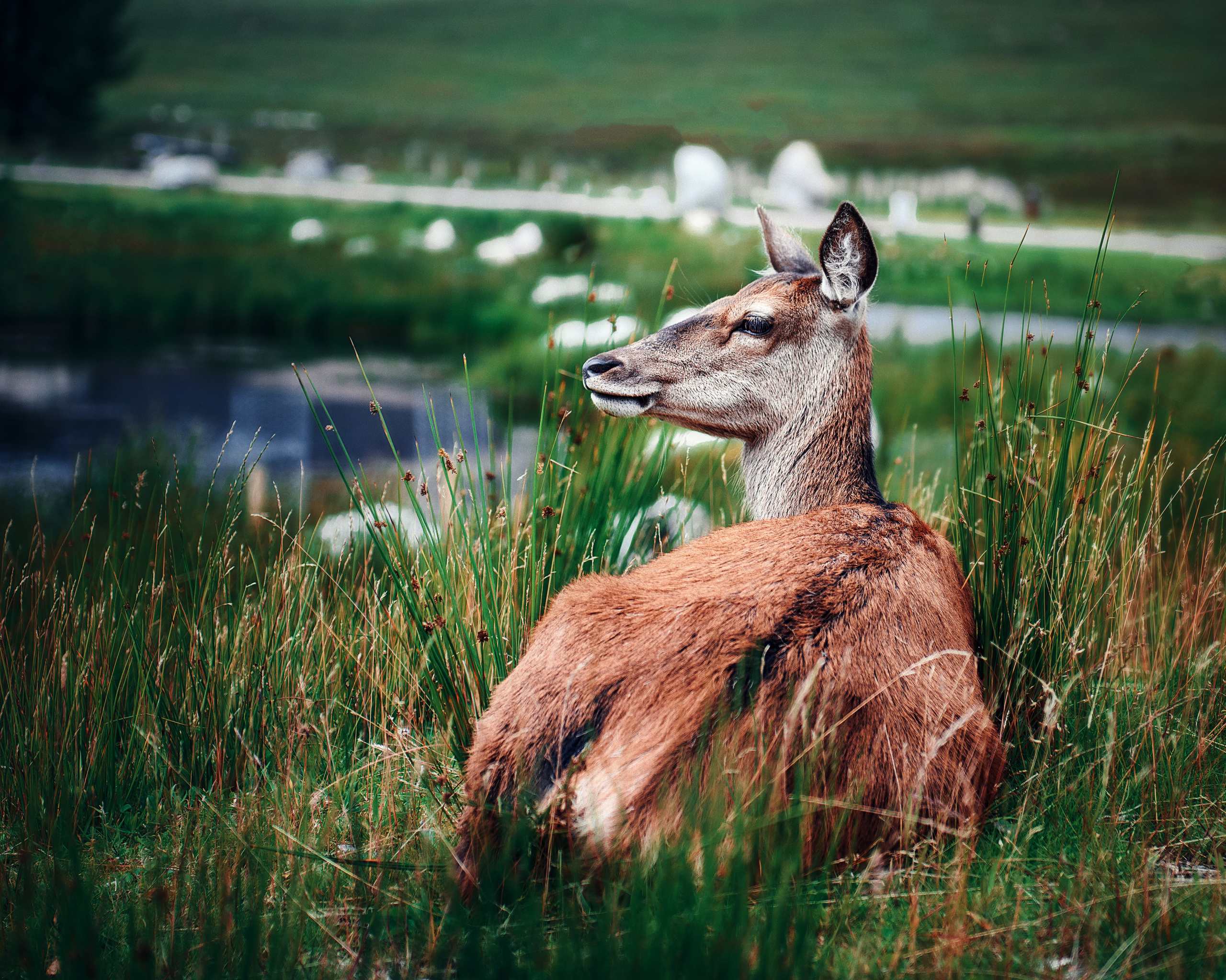 Landscape. Portrait and Family photographer based in Larkhall Scotland