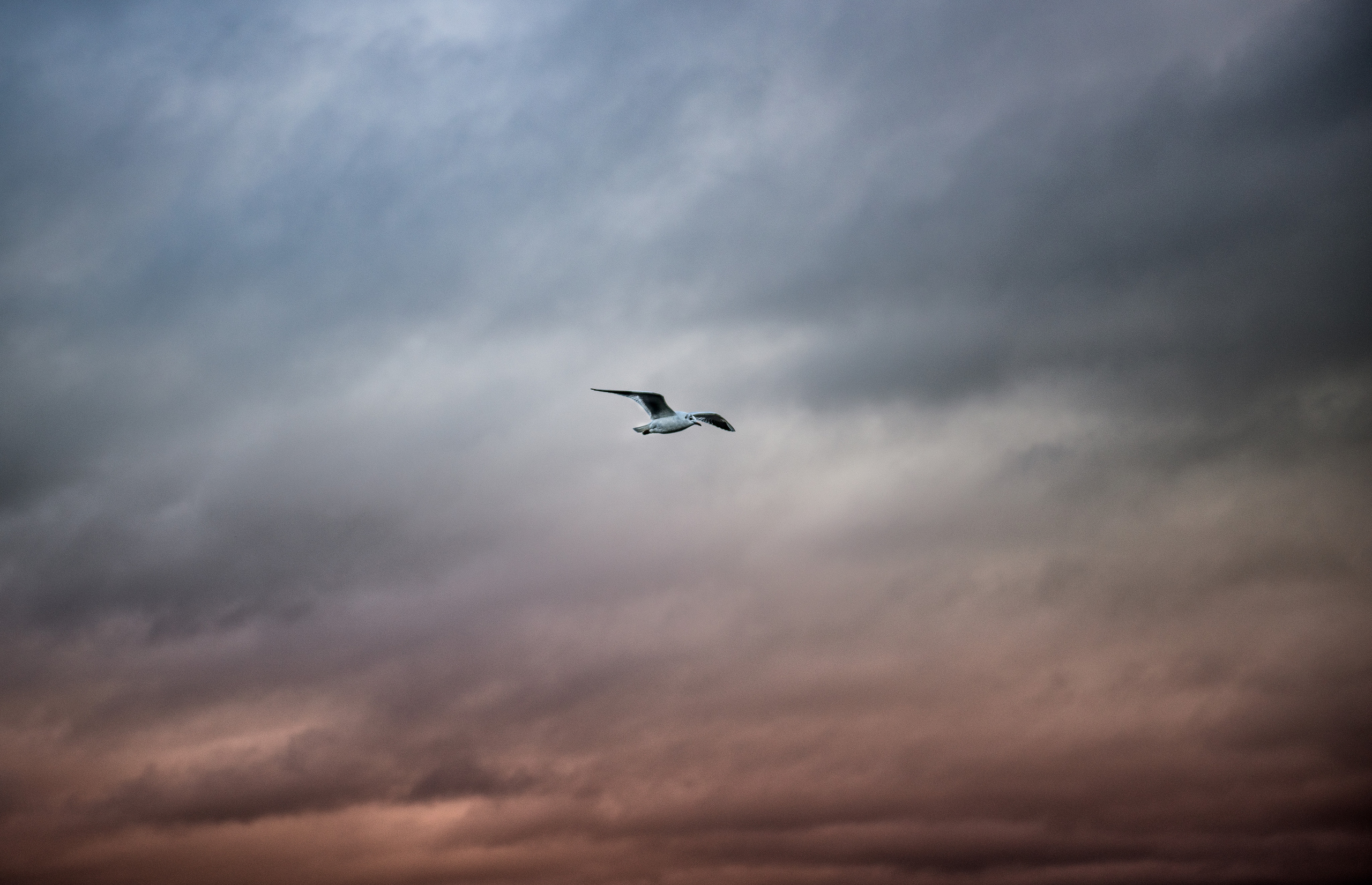 Landscape. Portrait and Family photographer based in Larkhall Scotland