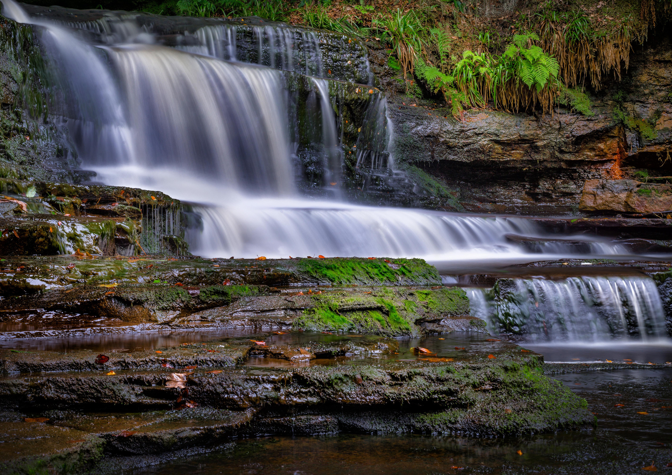 Landscape. Portrait and Family photographer based in Larkhall Scotland