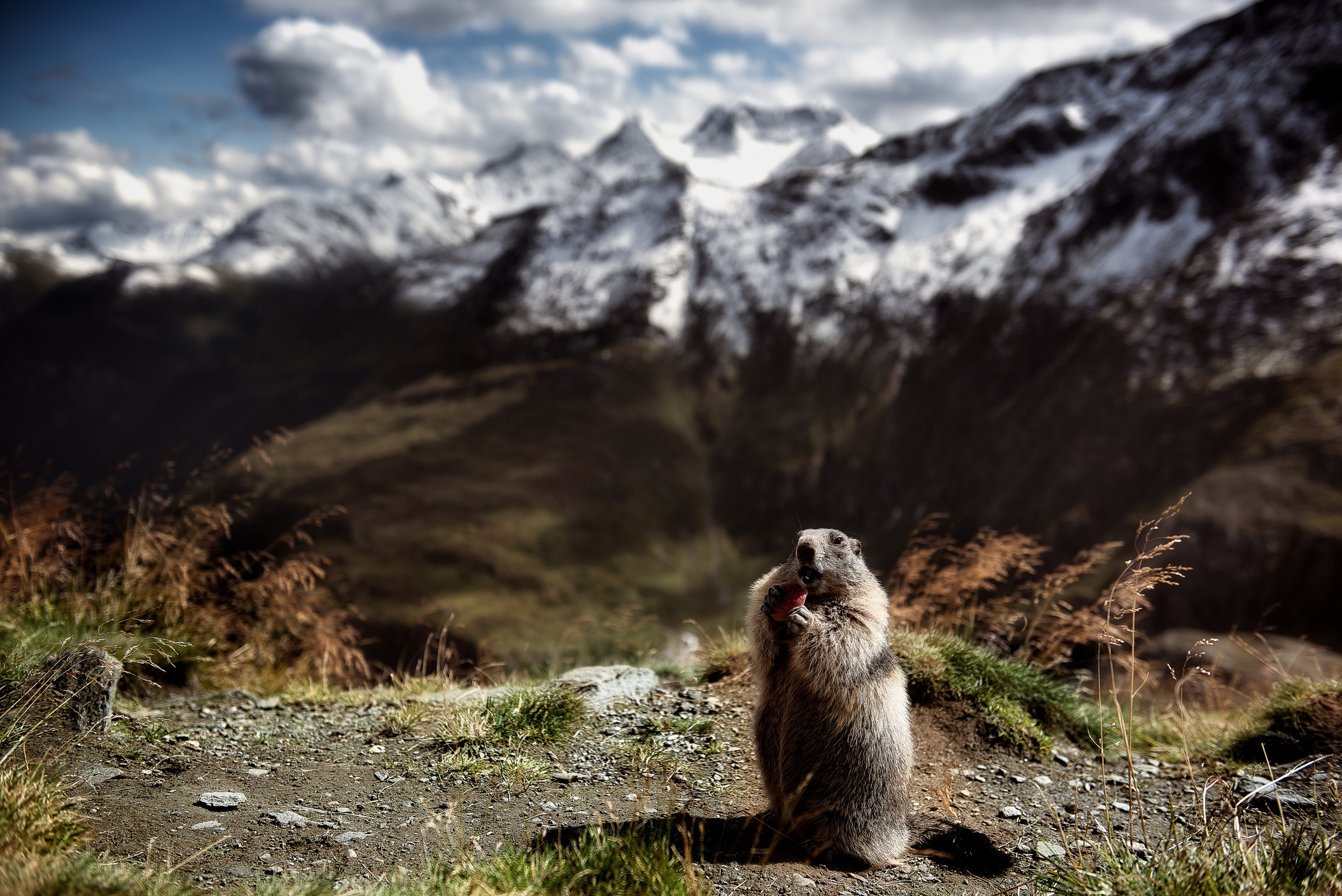 Landscape. Portrait and Family photographer based in Larkhall Scotland