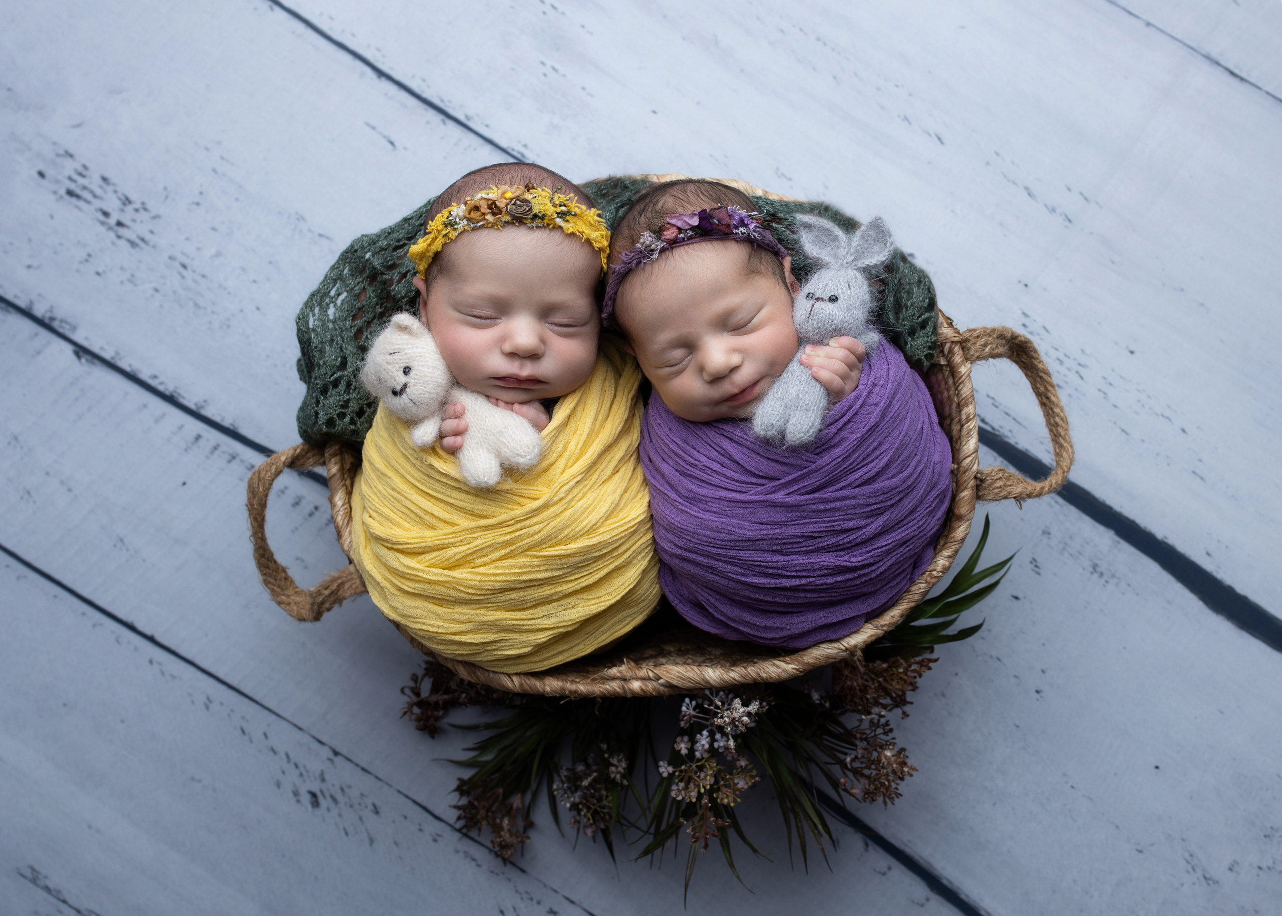 Каталог 1 Newborn. Катерина Шустерман — фотограф Newborn, семейный в Израиле