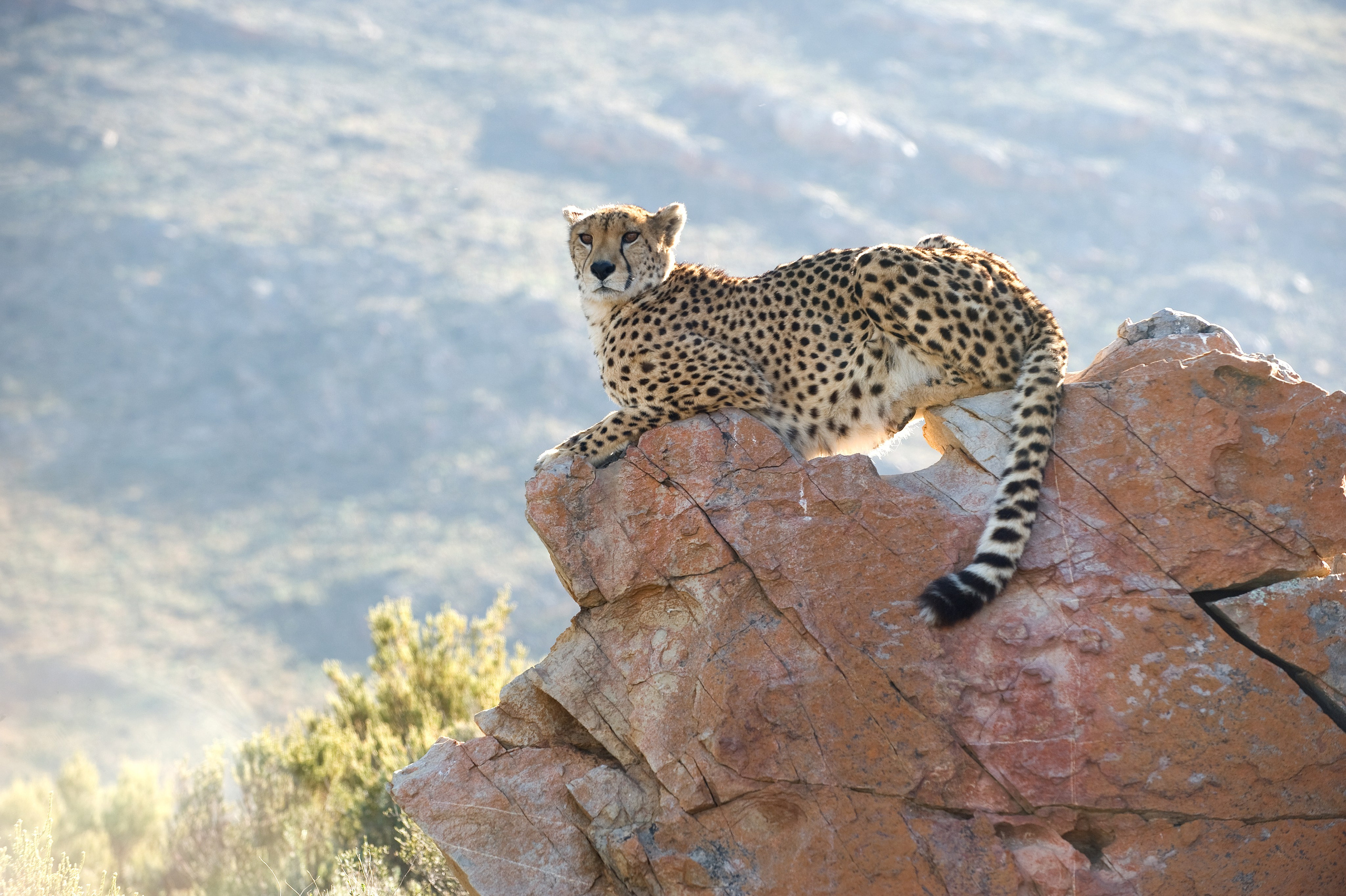 ТРЕВЕЛ. Фотограф и преподаватель фотографии в Белграде