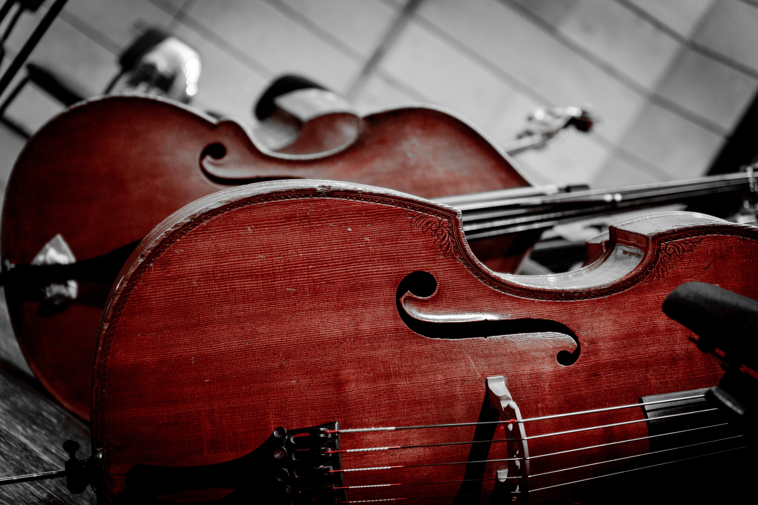 Symphony Haifa 2024. Главное меню