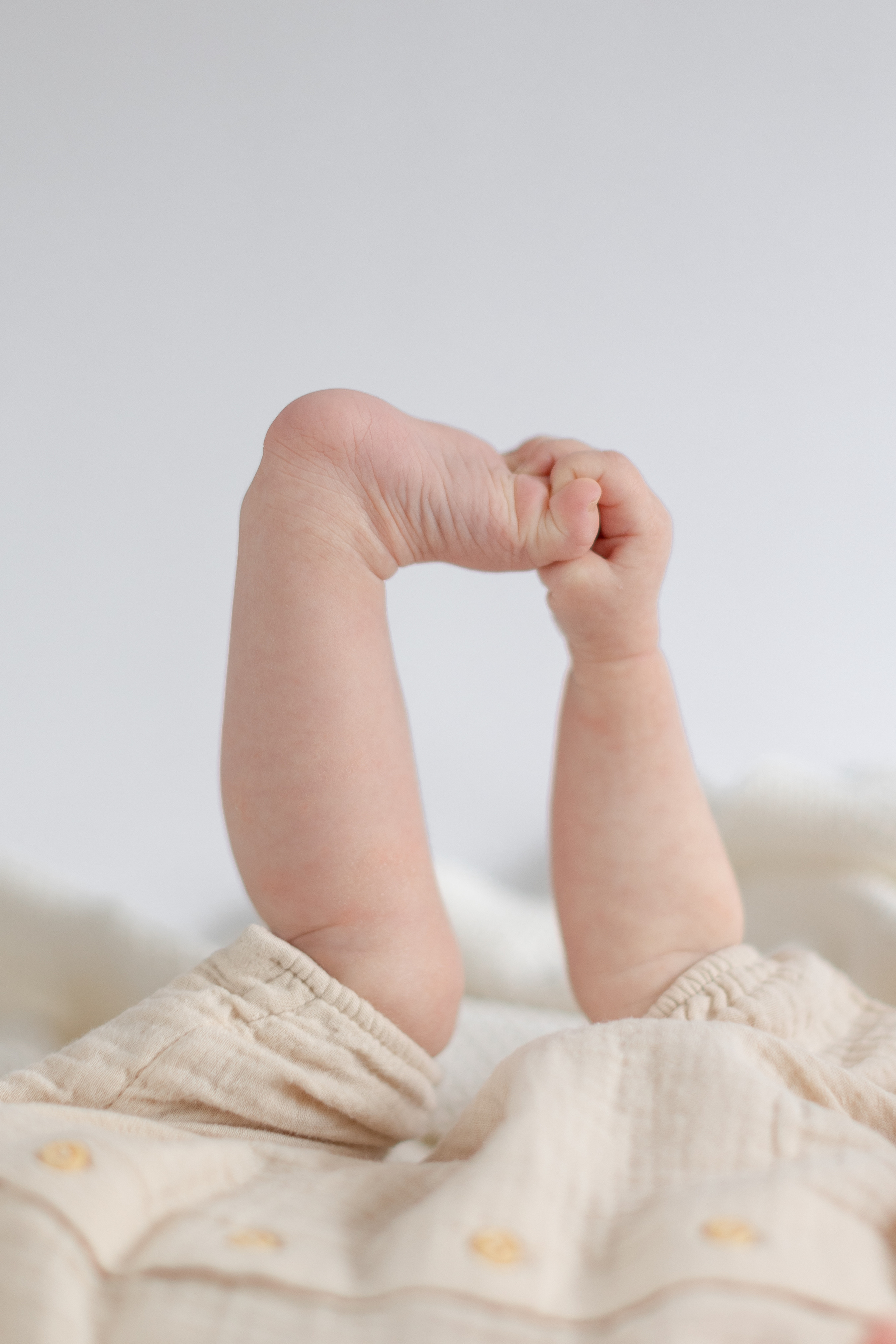 Babyshooting, 6 Monate, Familienshooting, Fotograf Osnabrück, Studioshooting, Bohoshooting