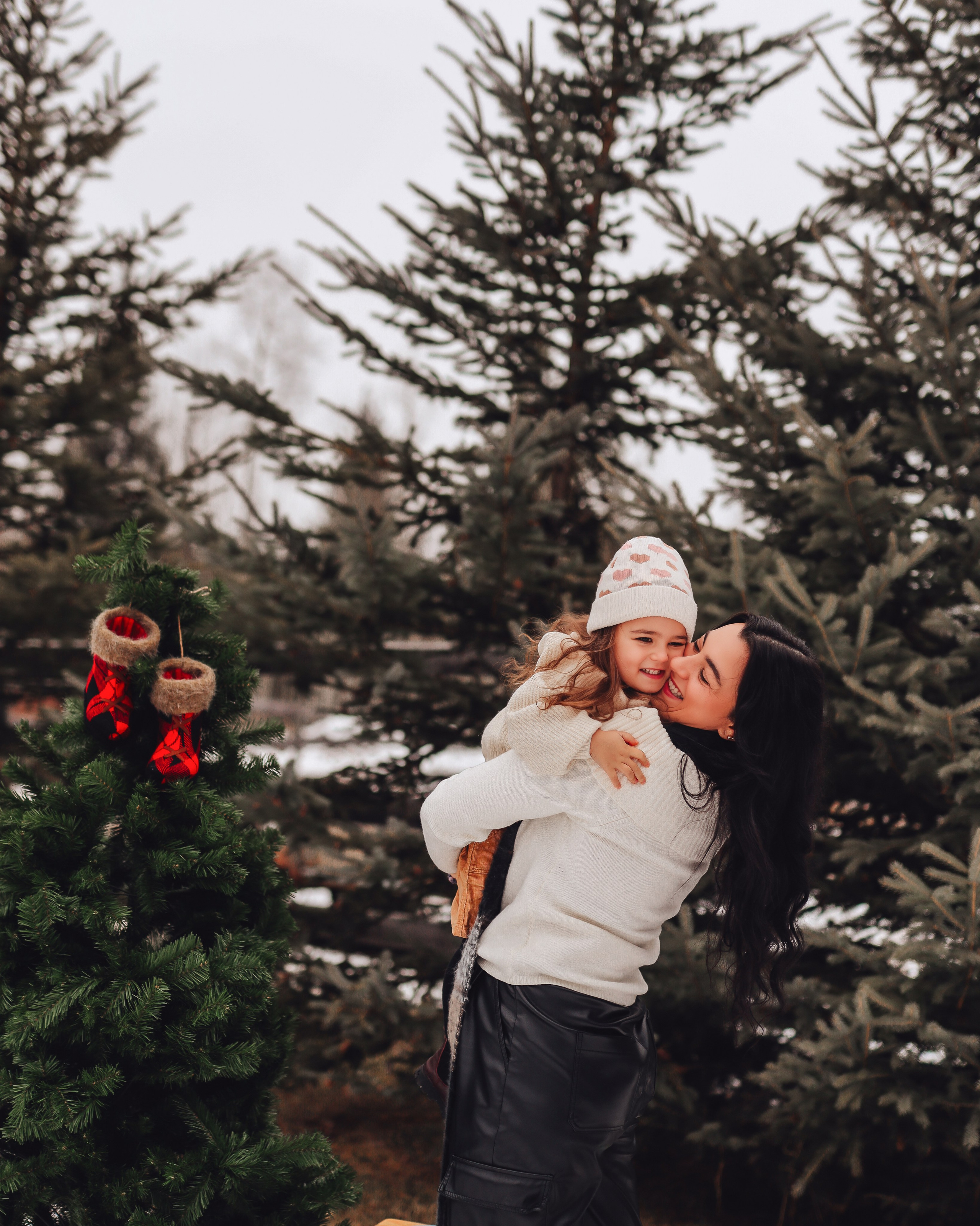 Christmas minis. Ellen Litvinova photography