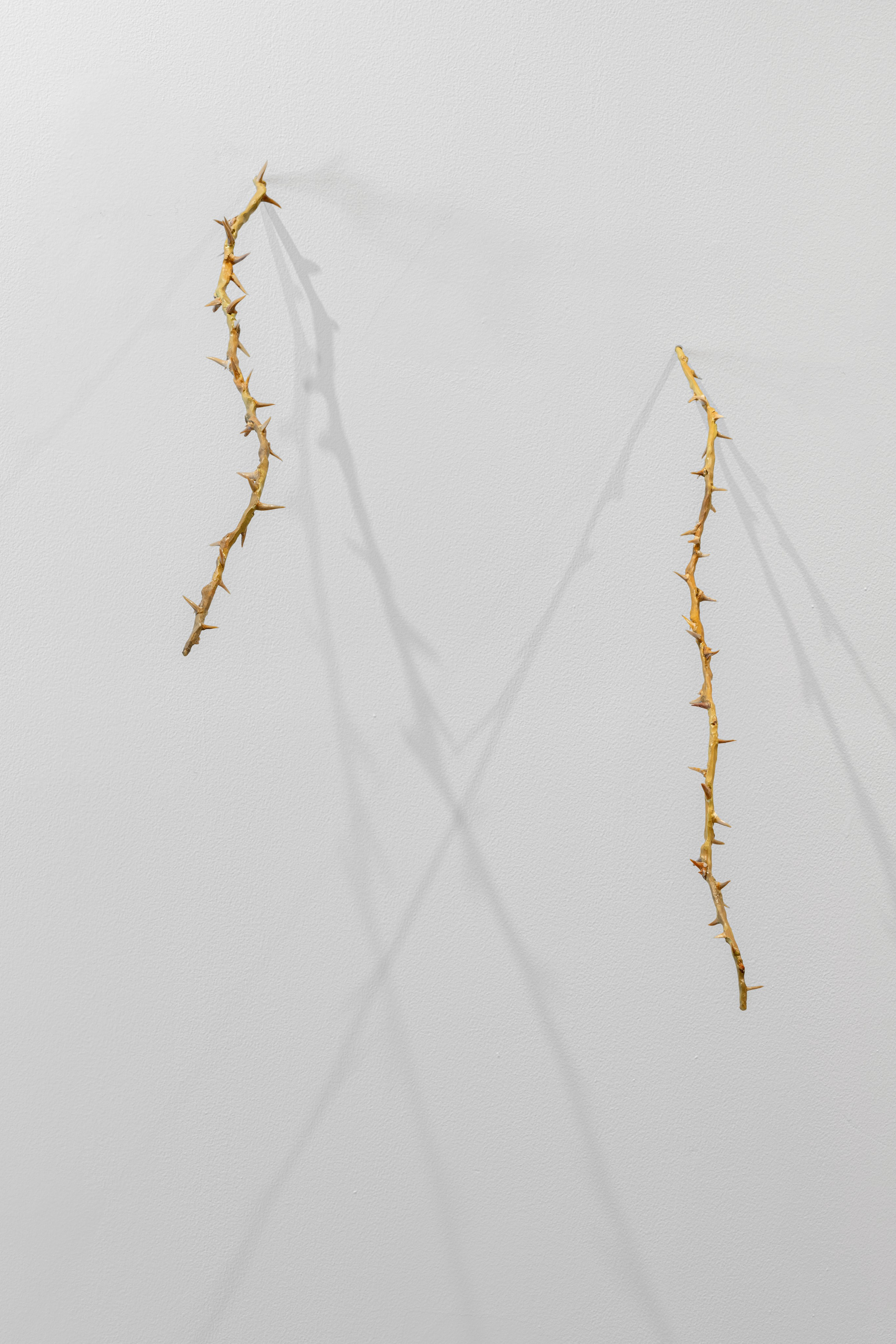 Nika Project Space “Beghost”