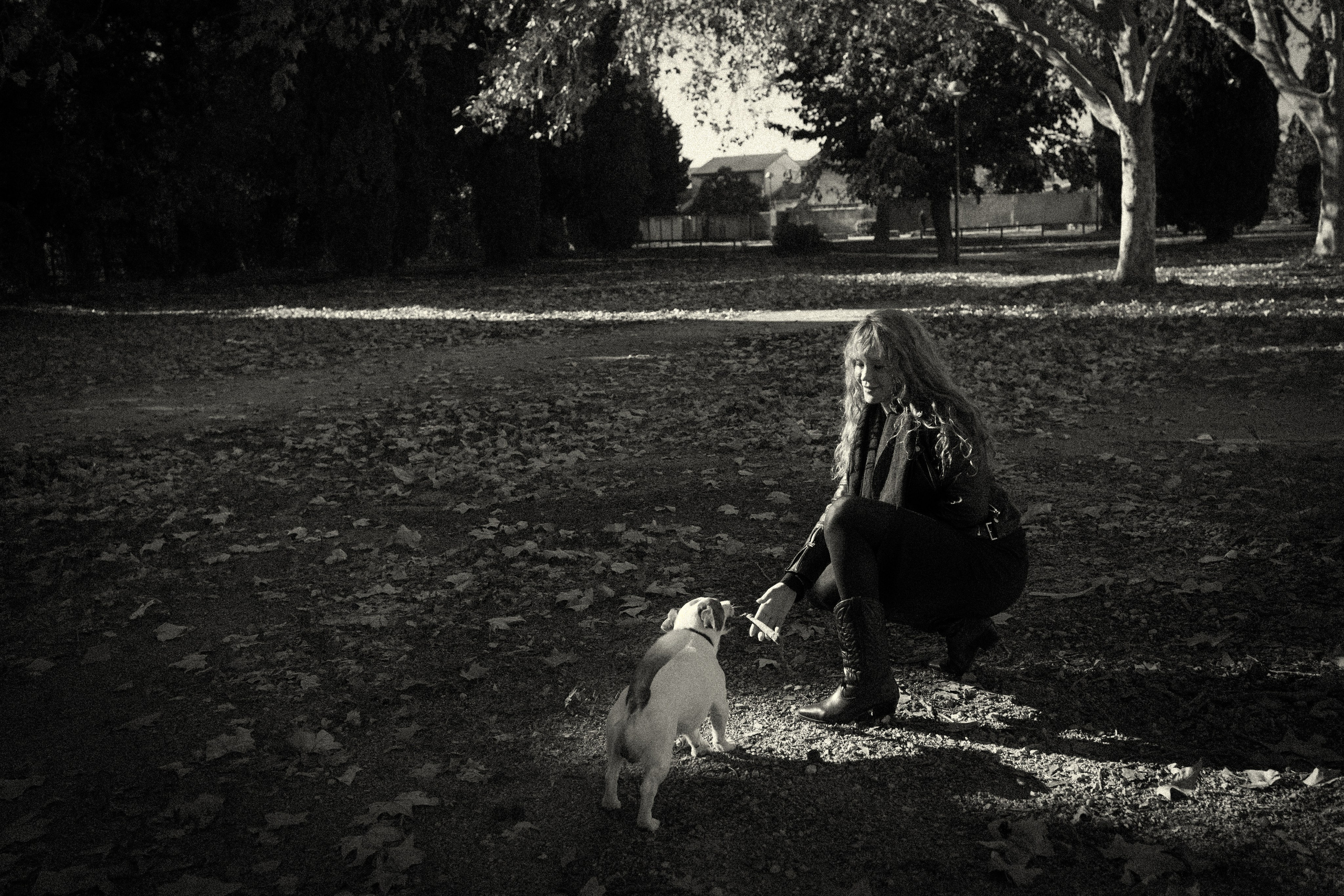 Sunrise. Histoires d’amour, séances photos de famille et de mariage en France