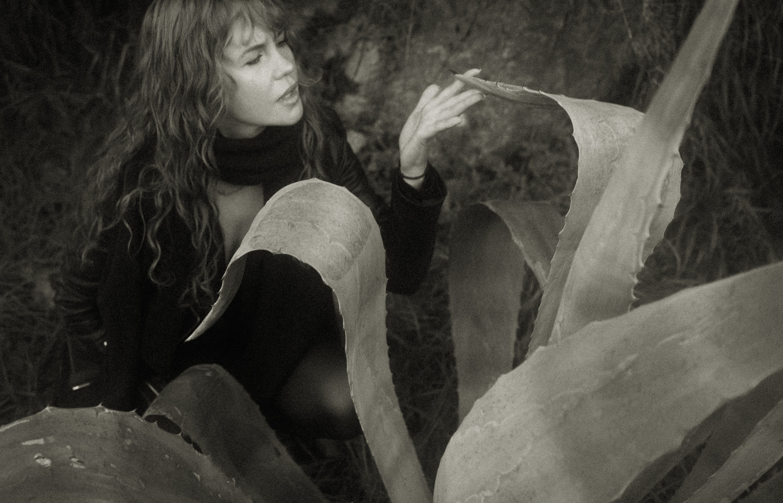 Sunrise. Histoires d’amour, séances photos de famille et de mariage en France