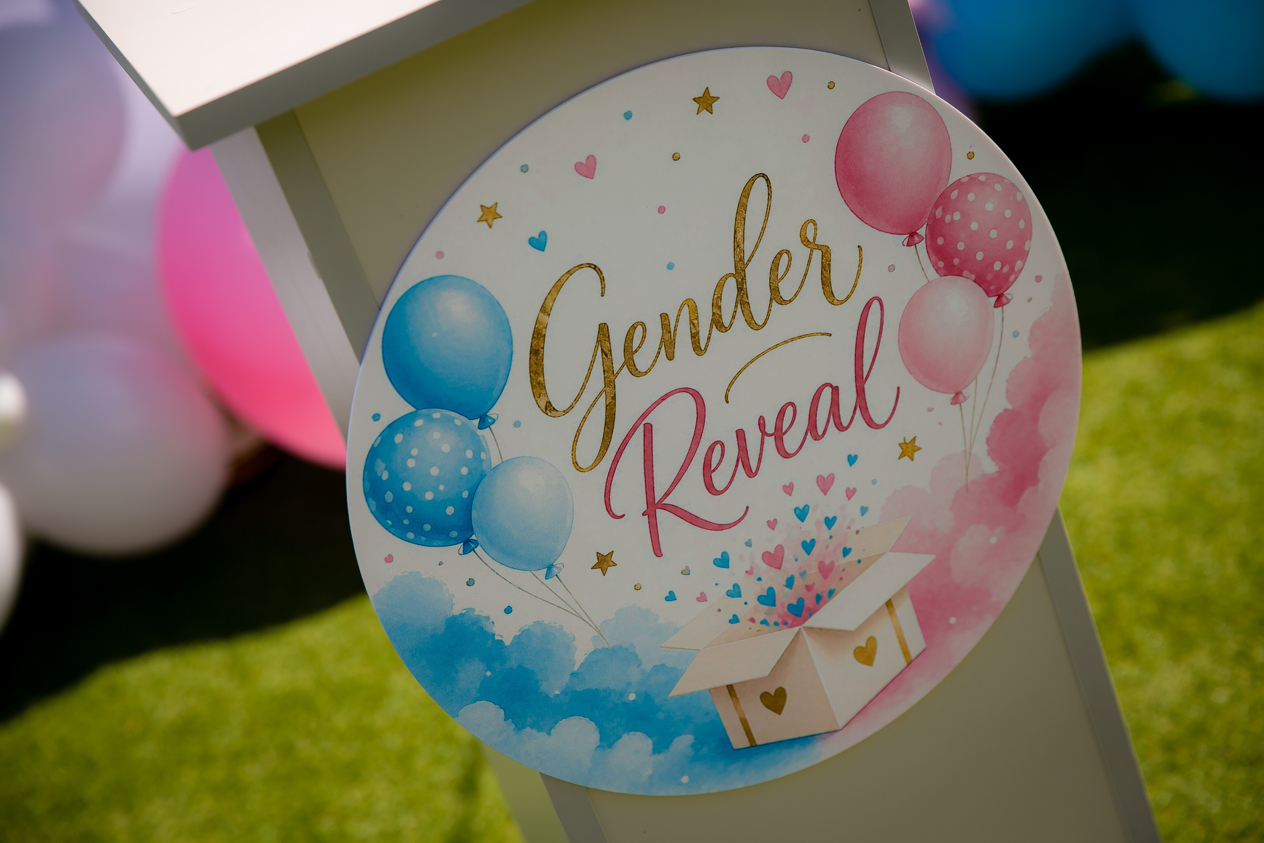 C&D | Gender Reveal. DP Events — echipă foto-video din București, capturăm emoții și transformăm momentele în amintiri autentice