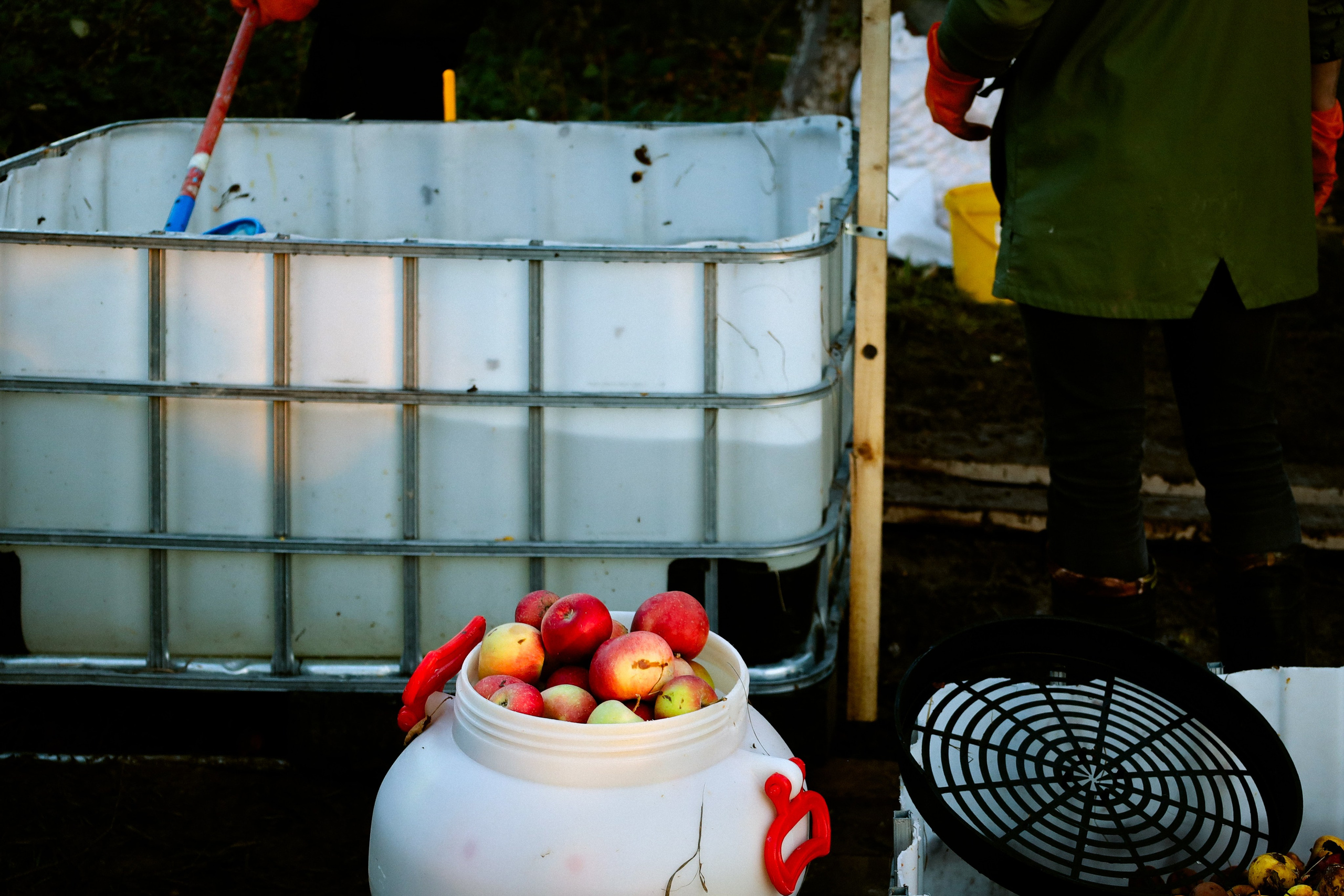 Factory reportage (hand-crafted cider). Asmikiam
