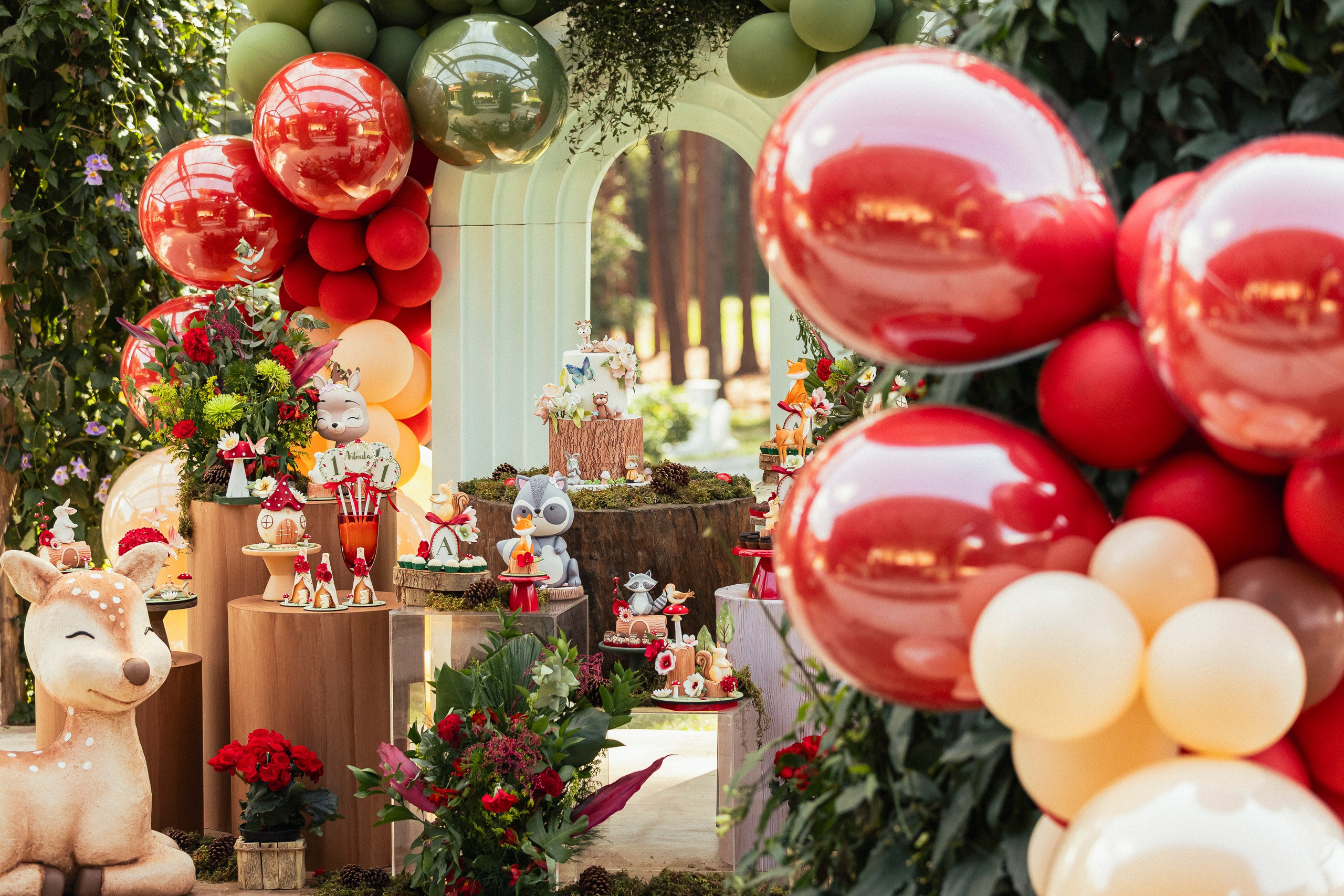 Aniversário infantil. Fotografo Atibaia | Gabriel Sucena Fotografia