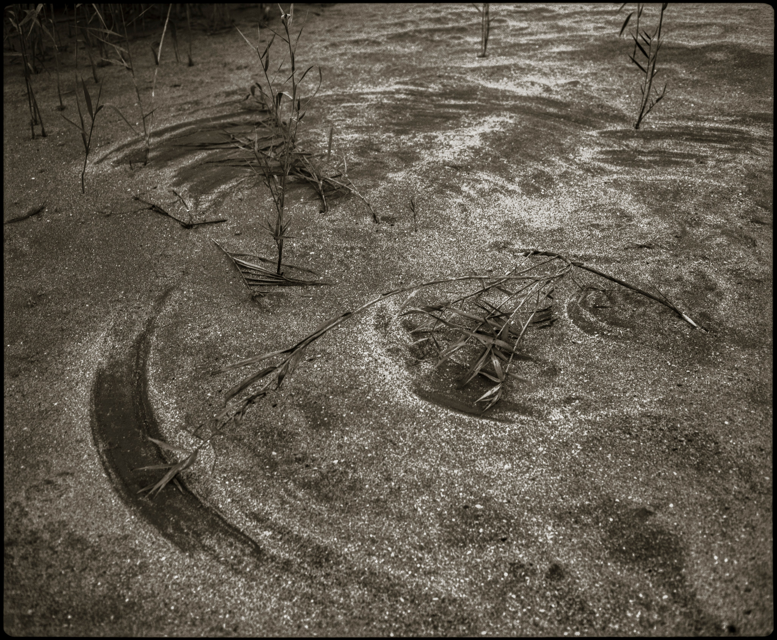 NATURE. Www.sananaleskerov.com