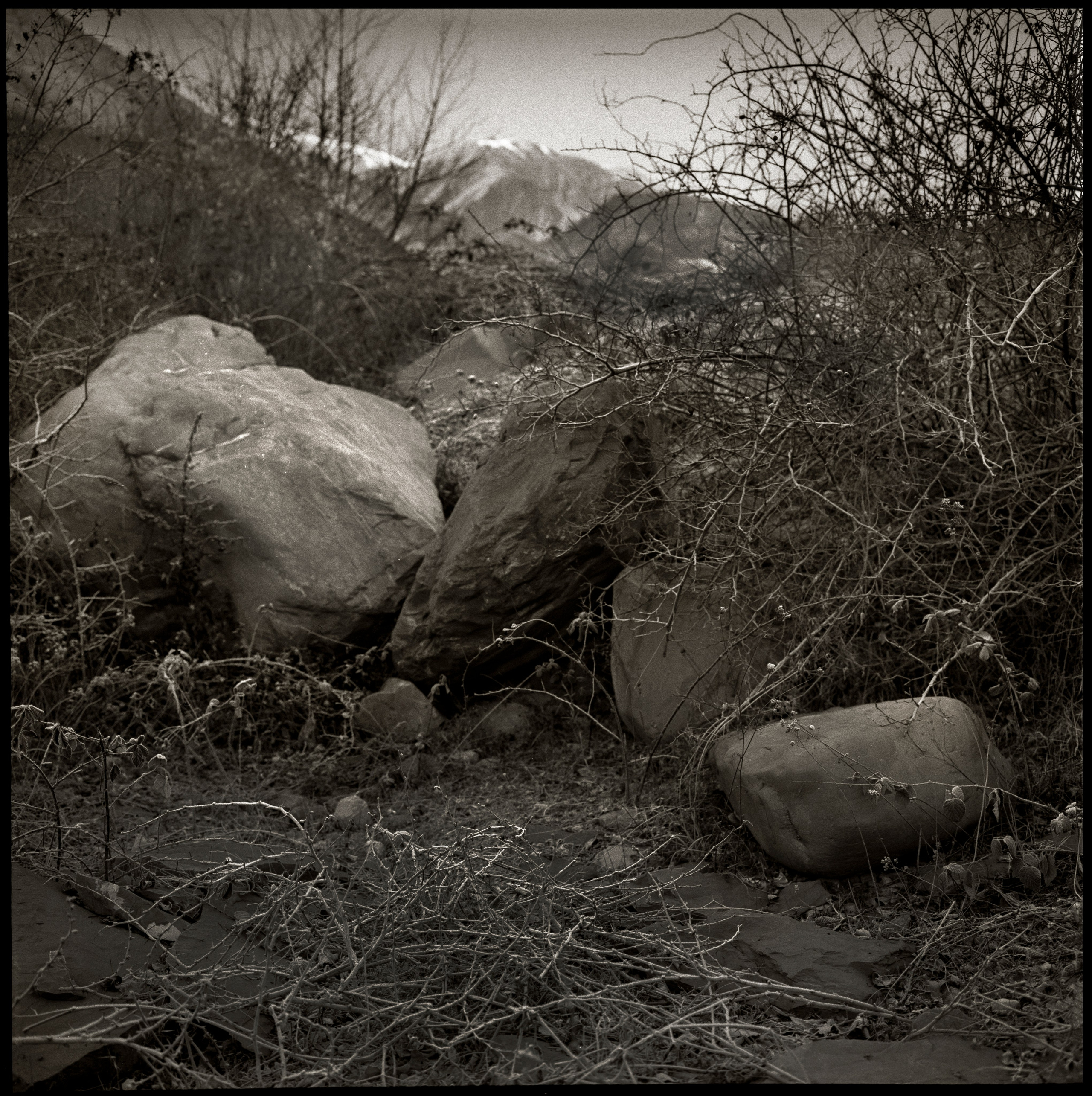 NATURE. Www.sananaleskerov.com