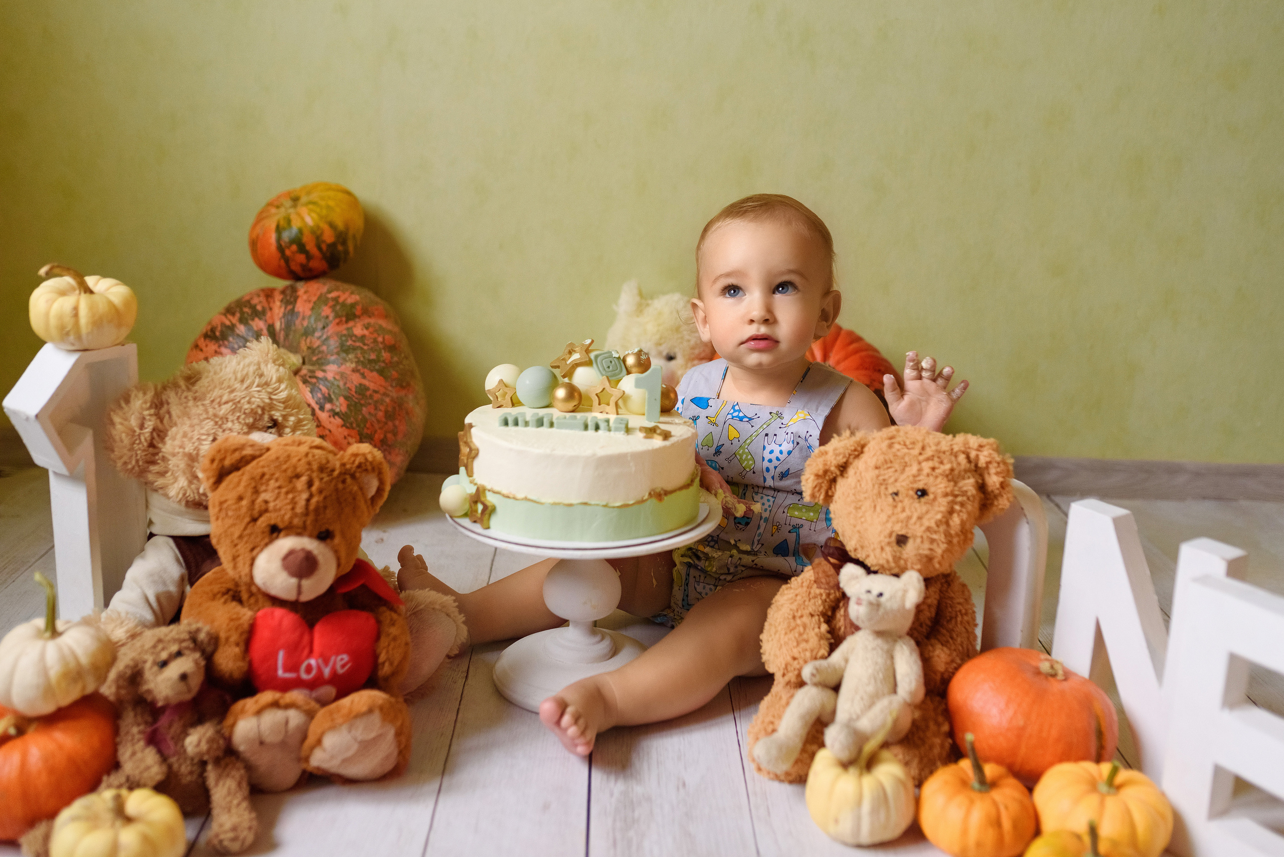 Годовасие. Семейный фотограф и фотограф новорожденных в Вильнюсе Ирина Беленкевич