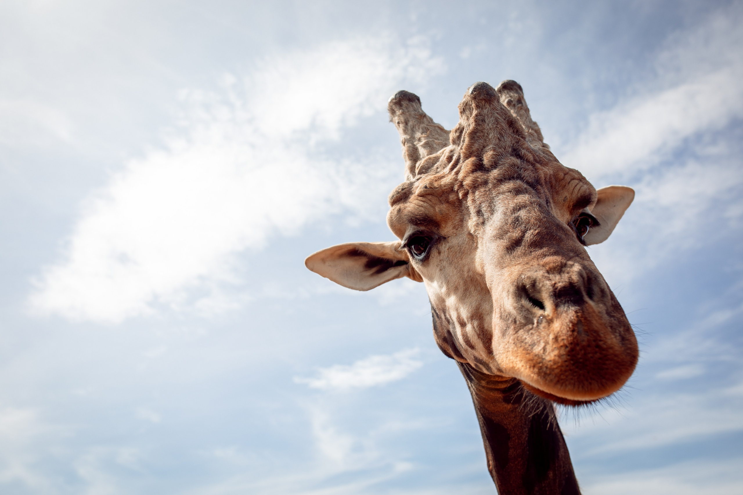 Zlata’s Birthday. Family Photographer in Greece