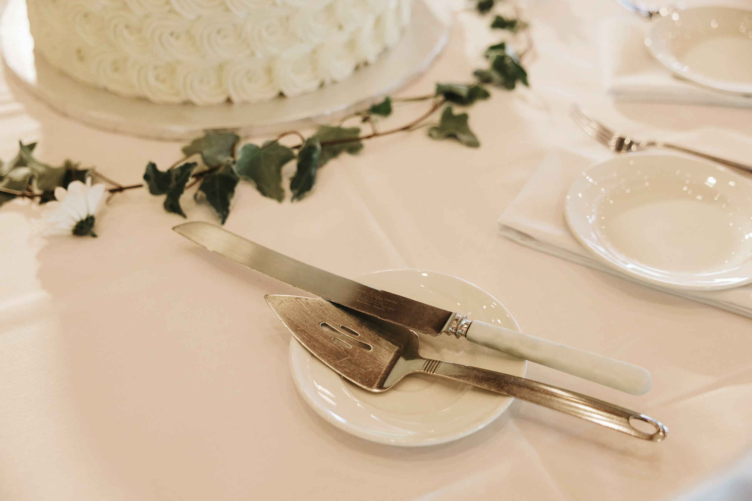 06.14.2025 Wedding. Wedding family event photographer in Chicago Nick Yushevich