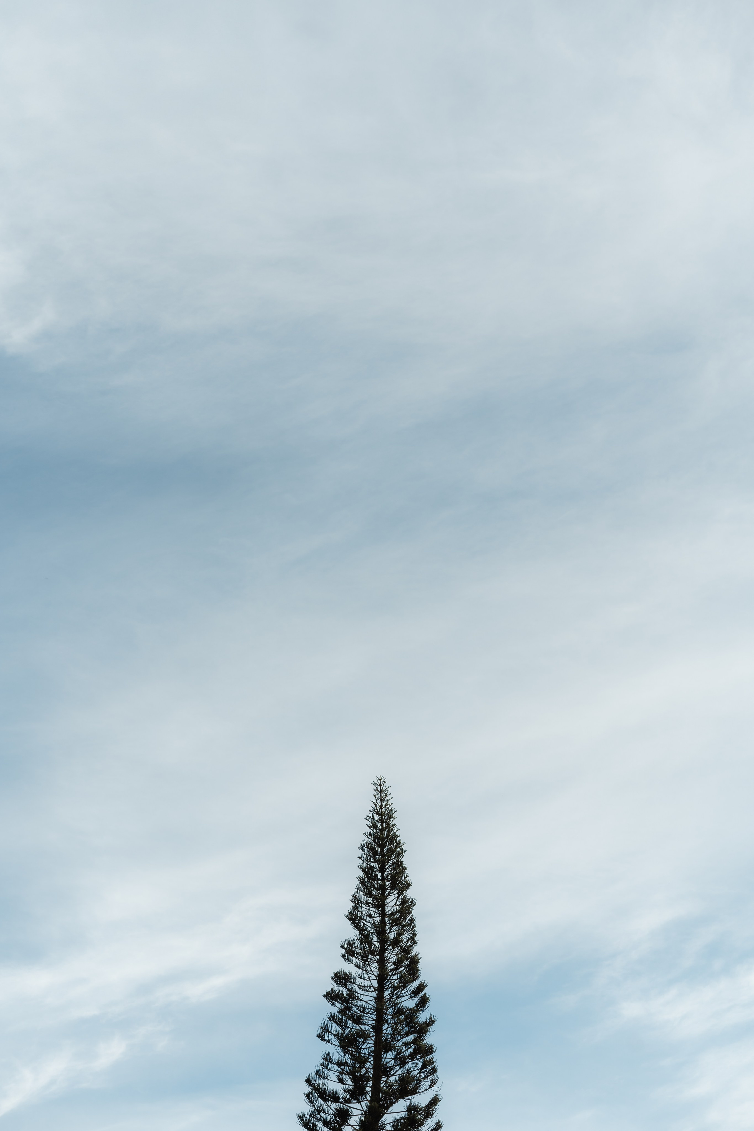 Aldre & Matheus | Guarapari. Lembrar não é só ver. É sentir de novo